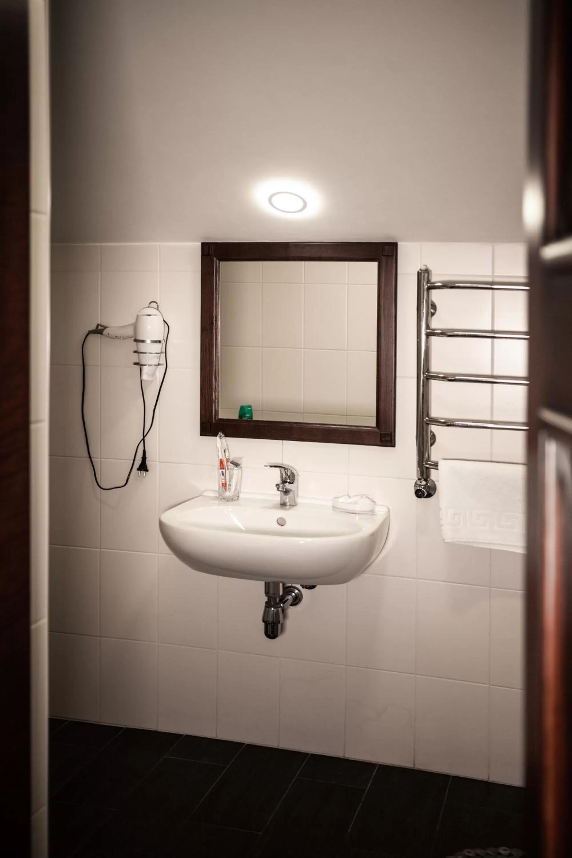 Bathroom in Sicheslav Ekaterinoslav