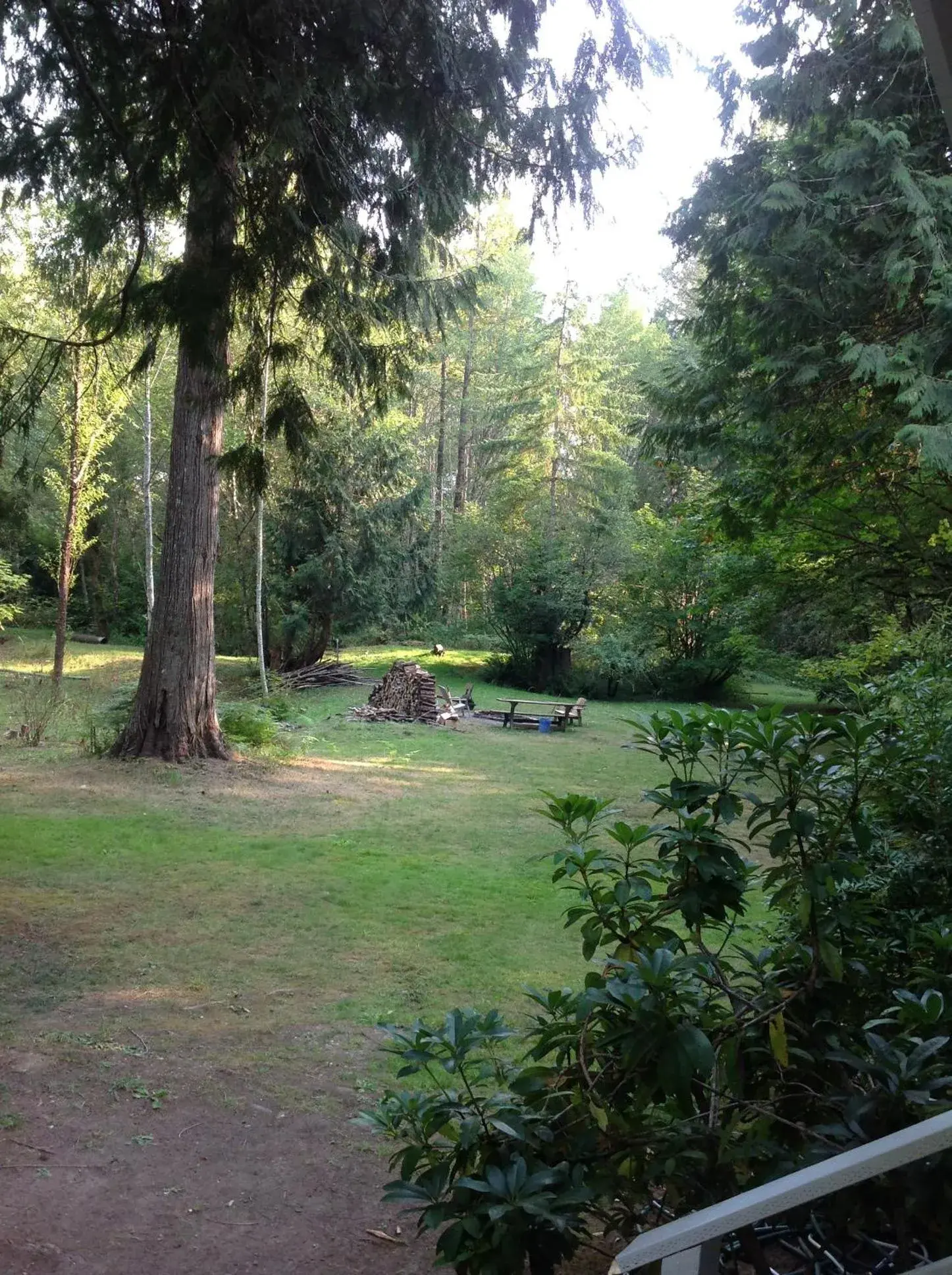 Natural landscape in Mountain Meadows Inn