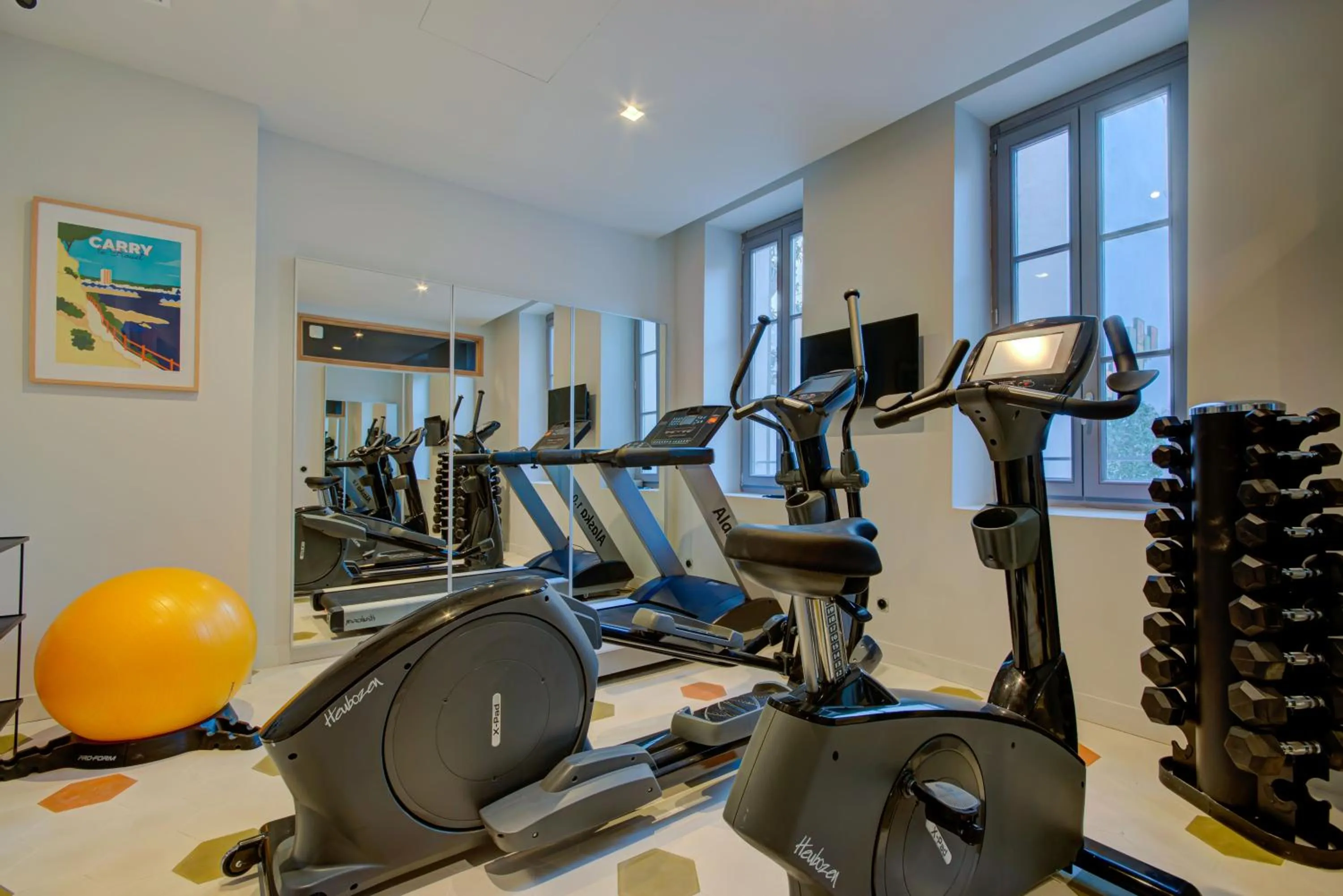 Fitness centre/facilities in Alex Hotel & Spa