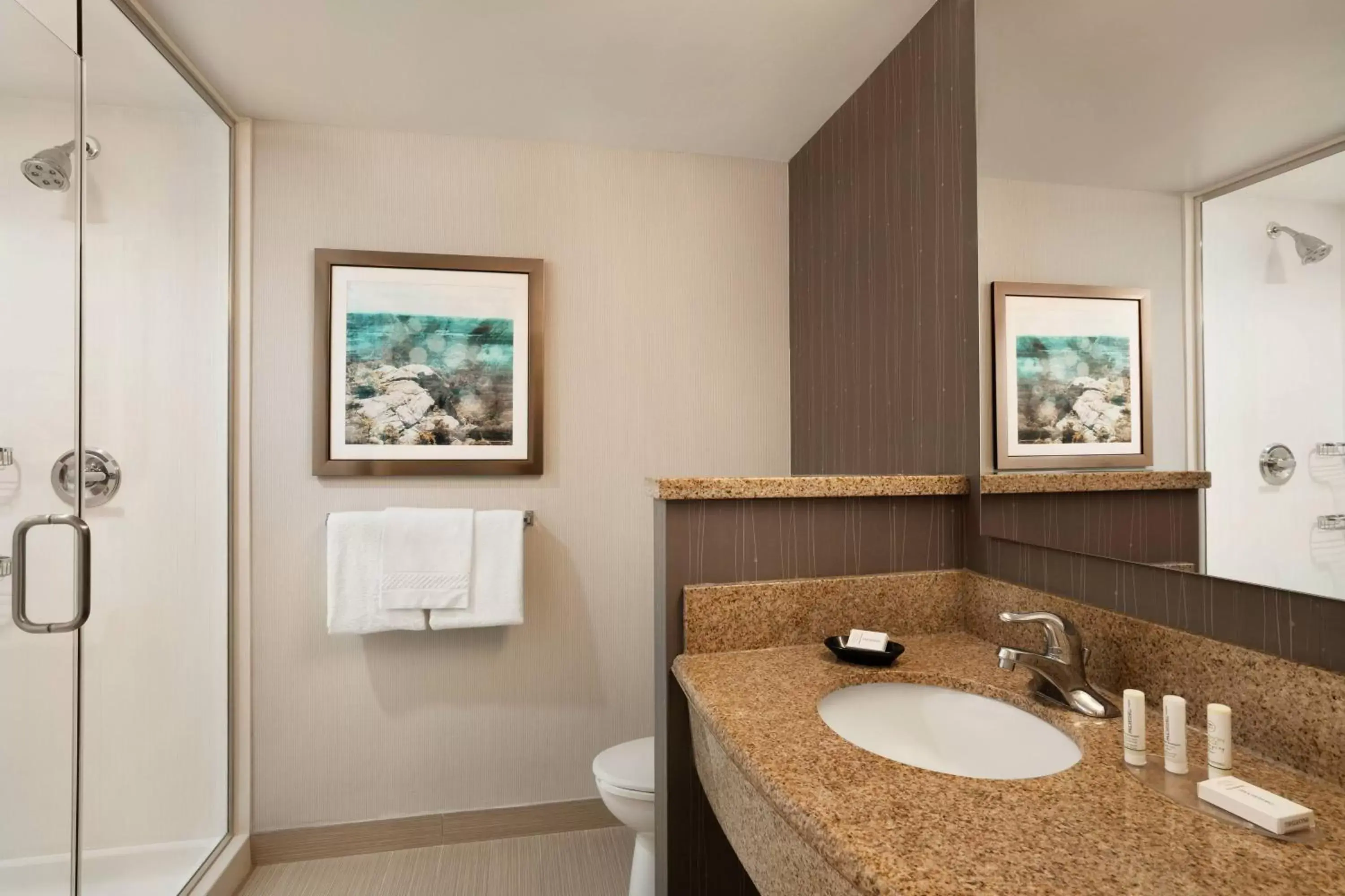 Bathroom in Courtyard by Marriott Middletown Goshen