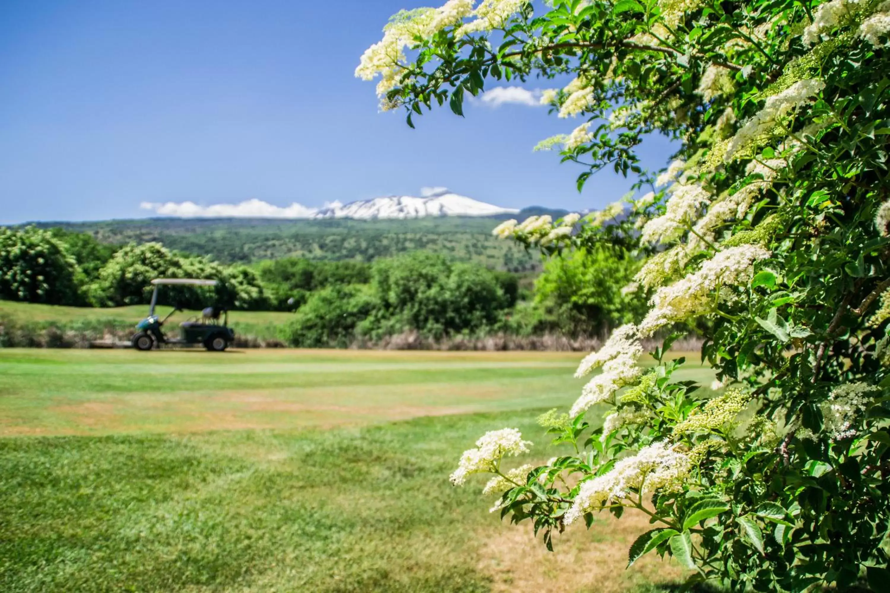 Golfcourse, Garden in Il Picciolo Etna Golf Resort & Spa