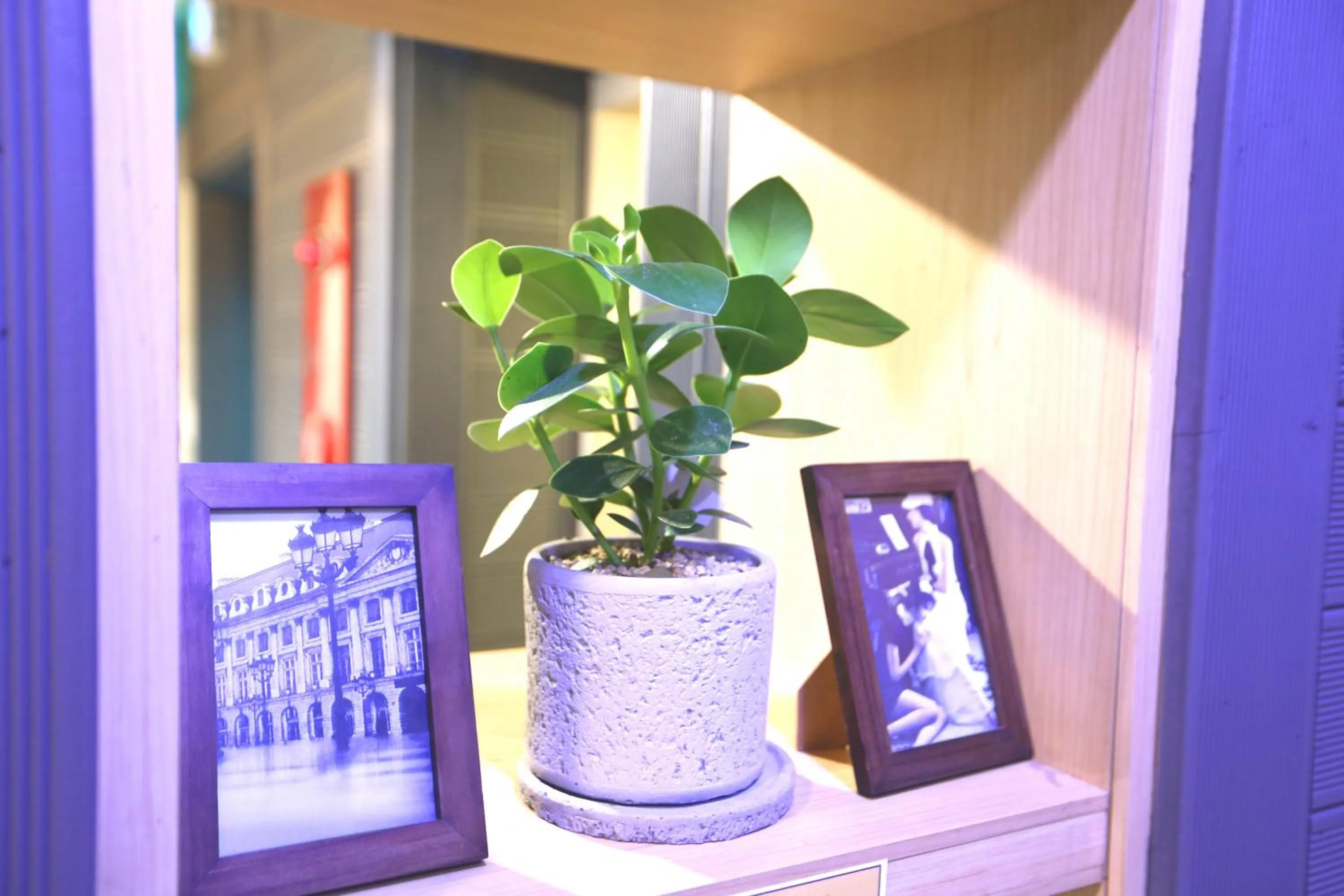 Decorative detail in Must Stay Hotel Myeongdong