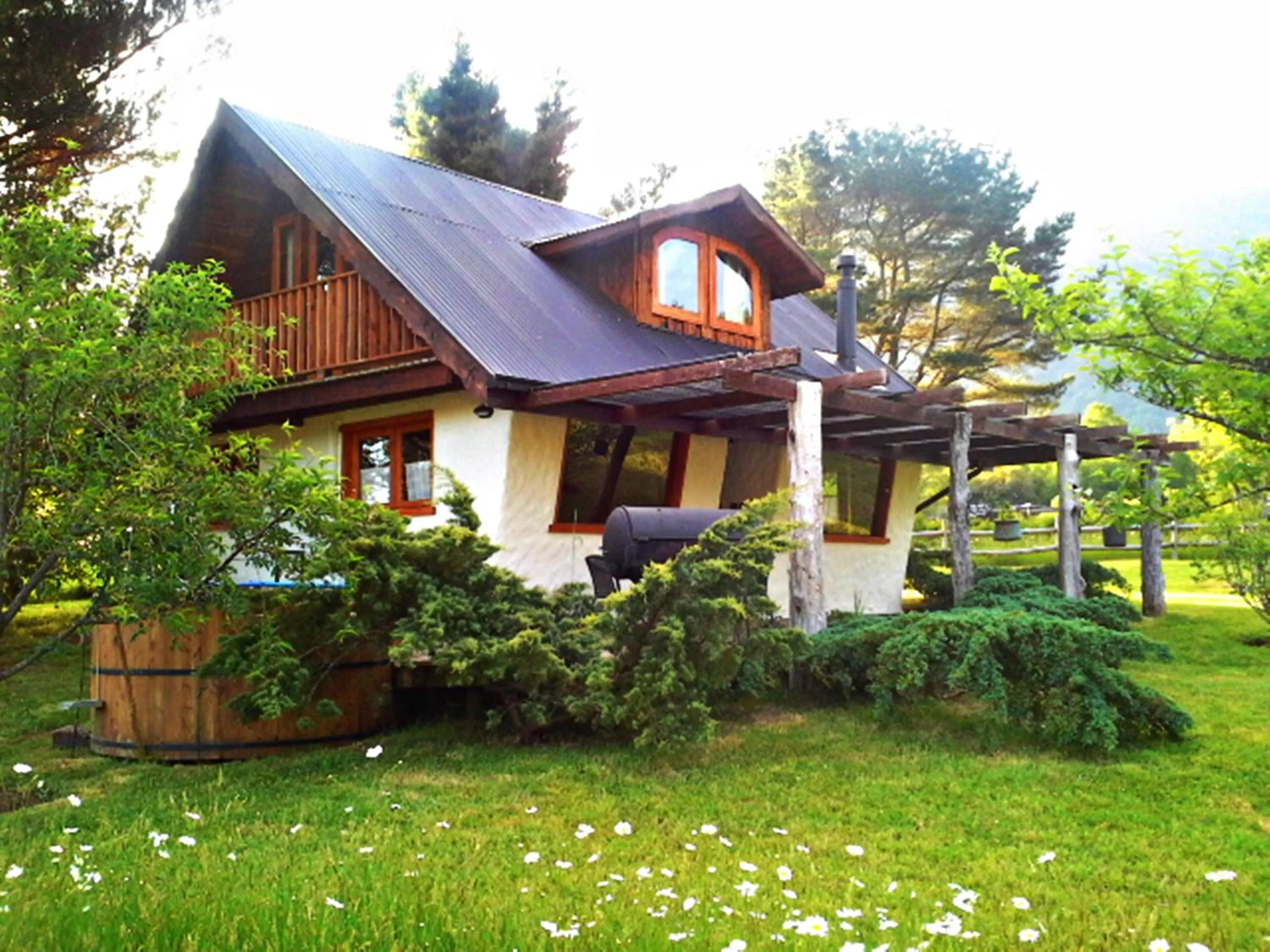 Facade/entrance, Property Building in Hotel Salto del Carileufu