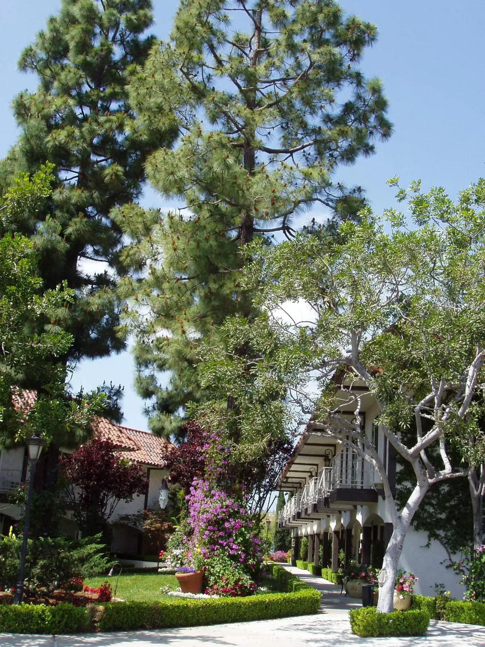 Facade/entrance in Laguna Hills Lodge-Irvine Spectrum Facade/entrance in Laguna Hills Lodge-Irvine Spectrum