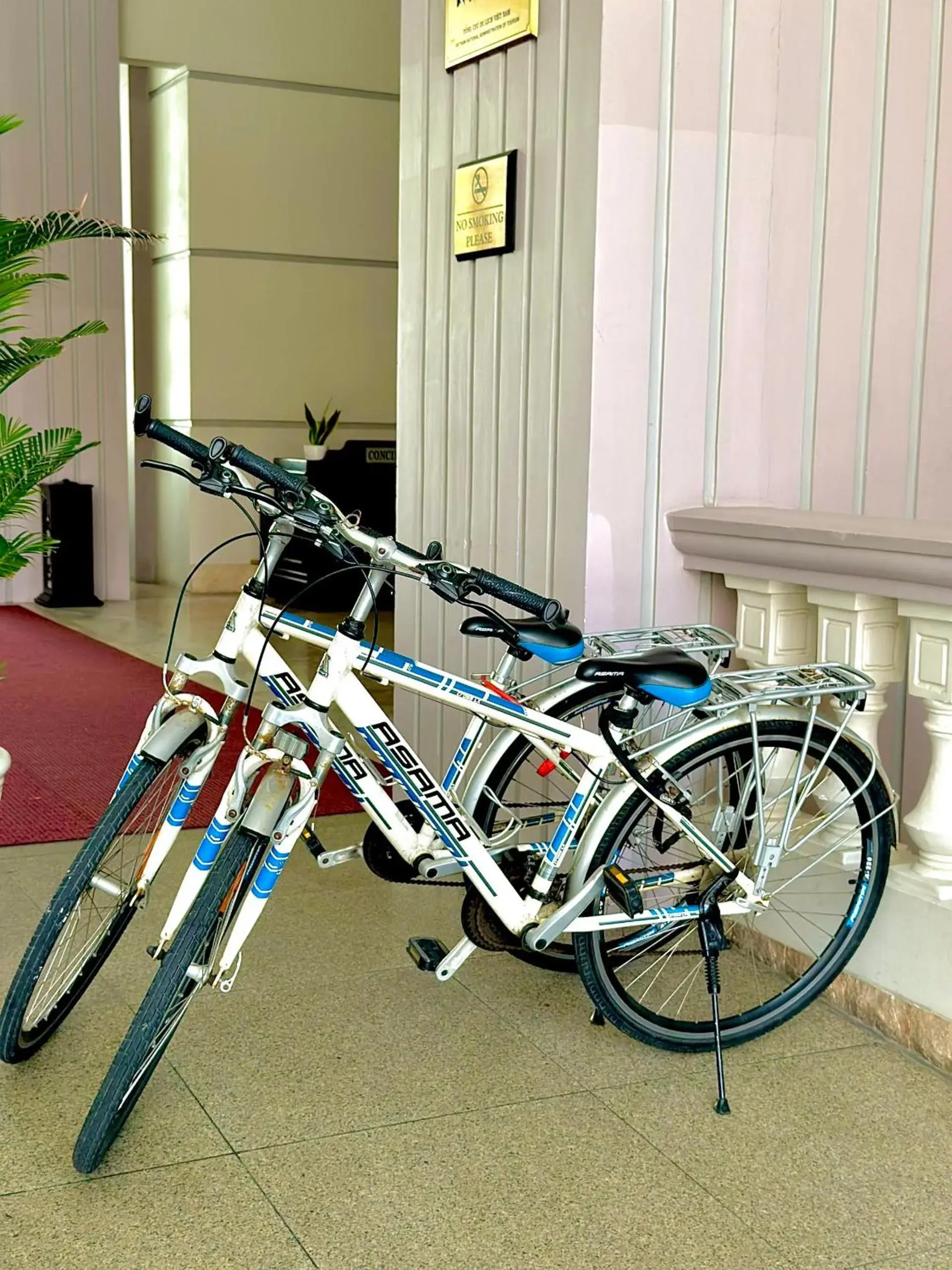 Cycling, Other Activities in Sunrise Nha Trang Beach Hotel & Spa