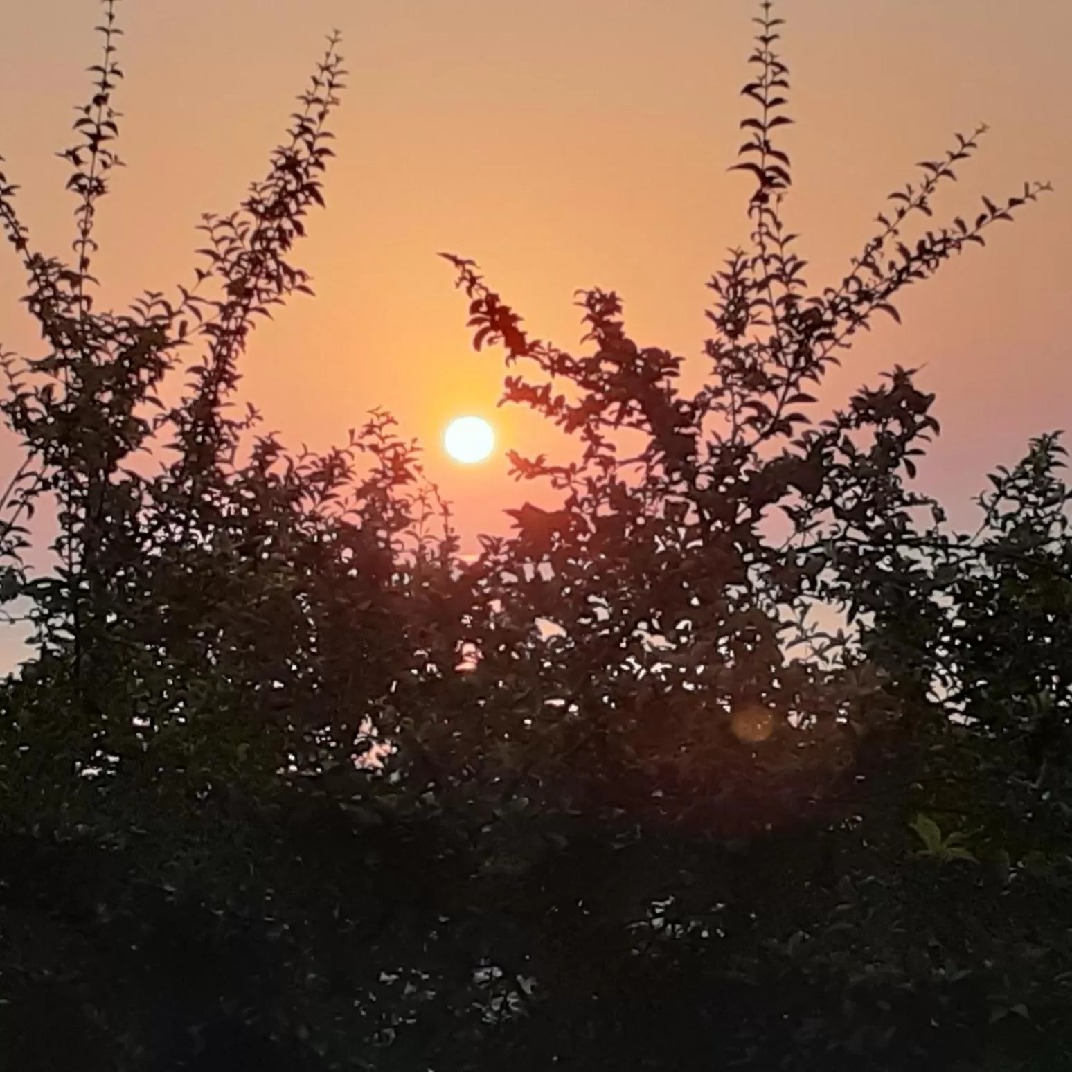 Natural landscape in Habitation Des Lauriers