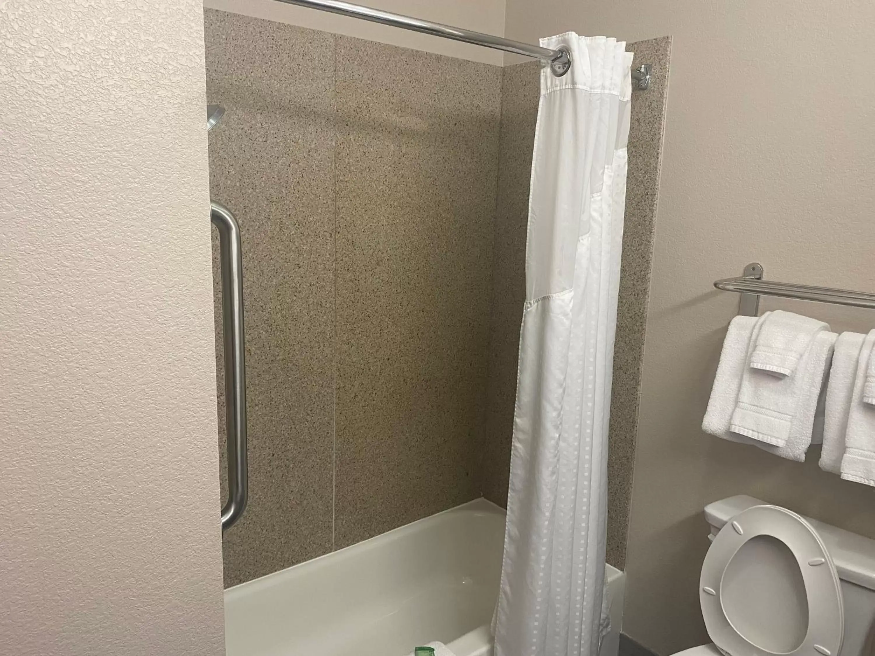 Bathroom in Holiday Inn Express Hotel and Suites Fort Stockton, an IHG Hotel