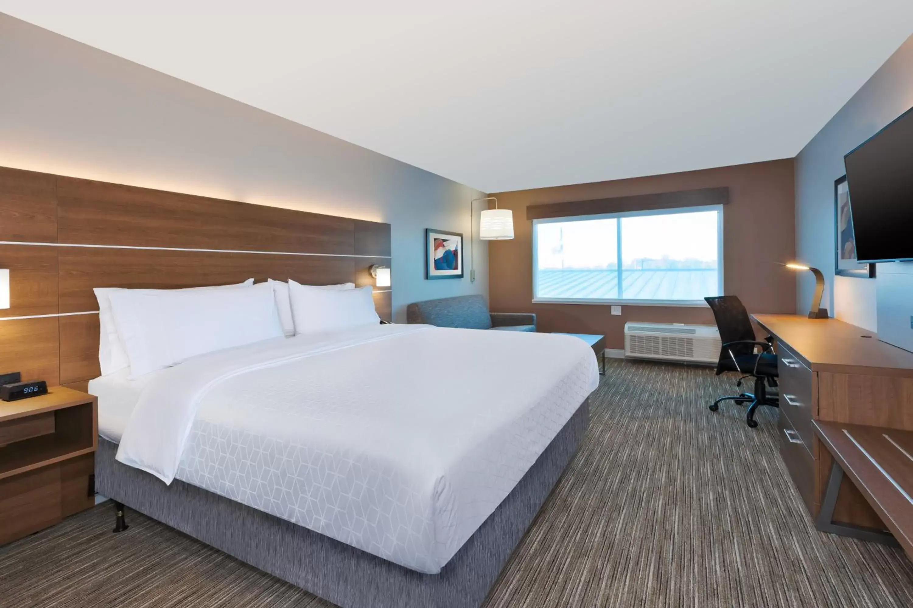 Photo of the whole room, Bed in Holiday Inn Express & Suites - Cedar Springs - Grand Rapids N, an IHG Hotel