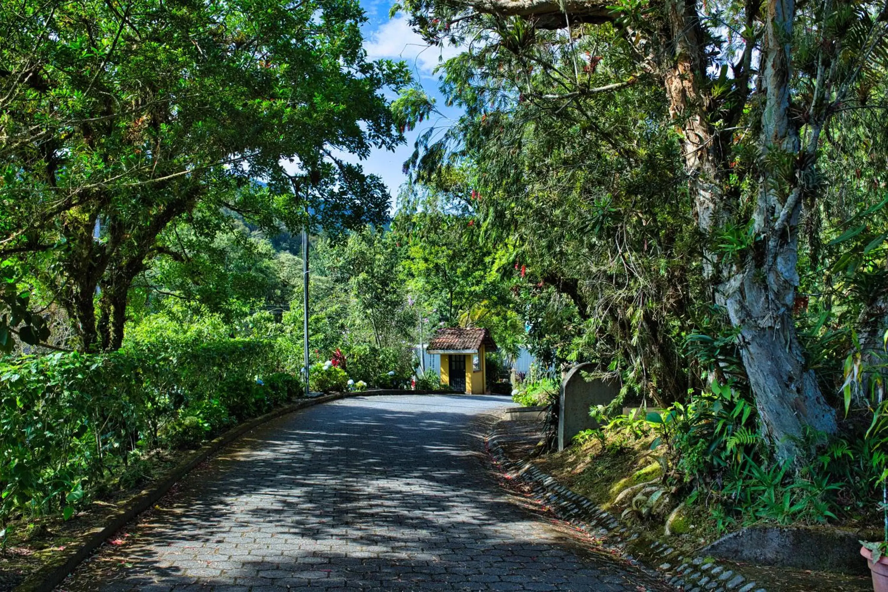 Hotel Villa Zurqui