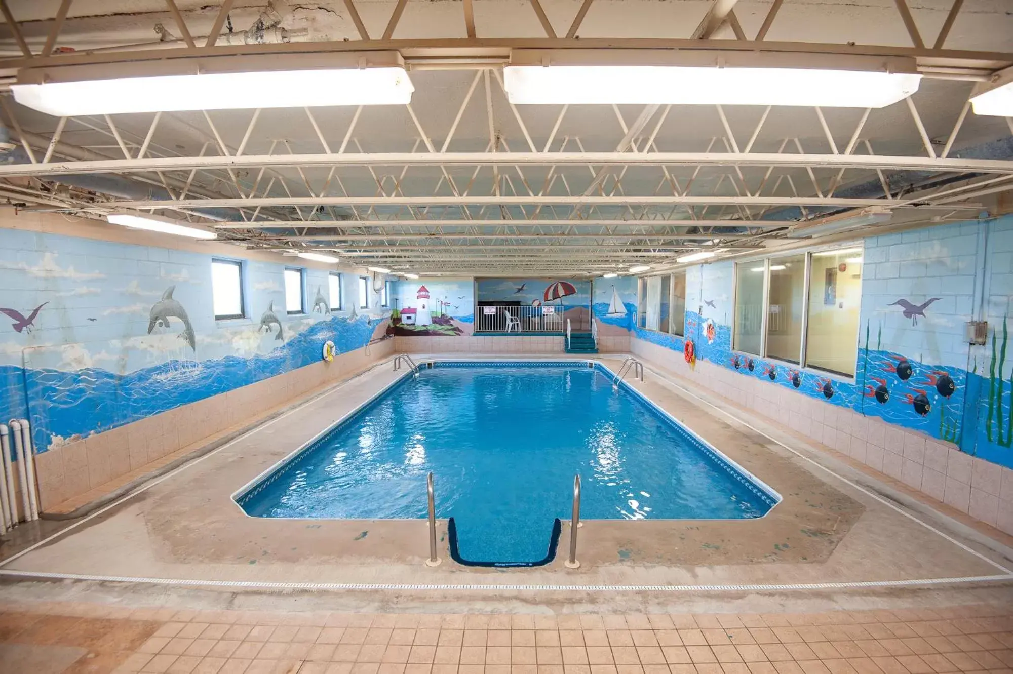 Fitness centre/facilities, Swimming Pool in Dutch Inn