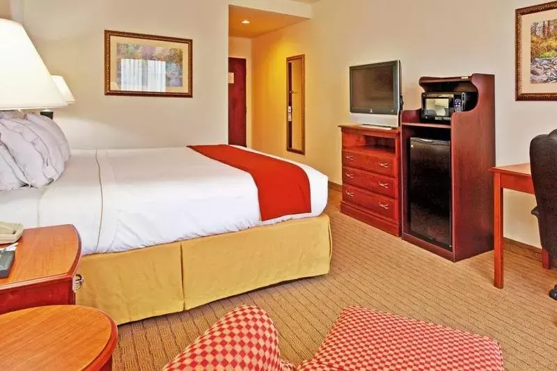 Photo of the whole room, Bed in Holiday Inn Express & Suites Dyersburg, an IHG Hotel