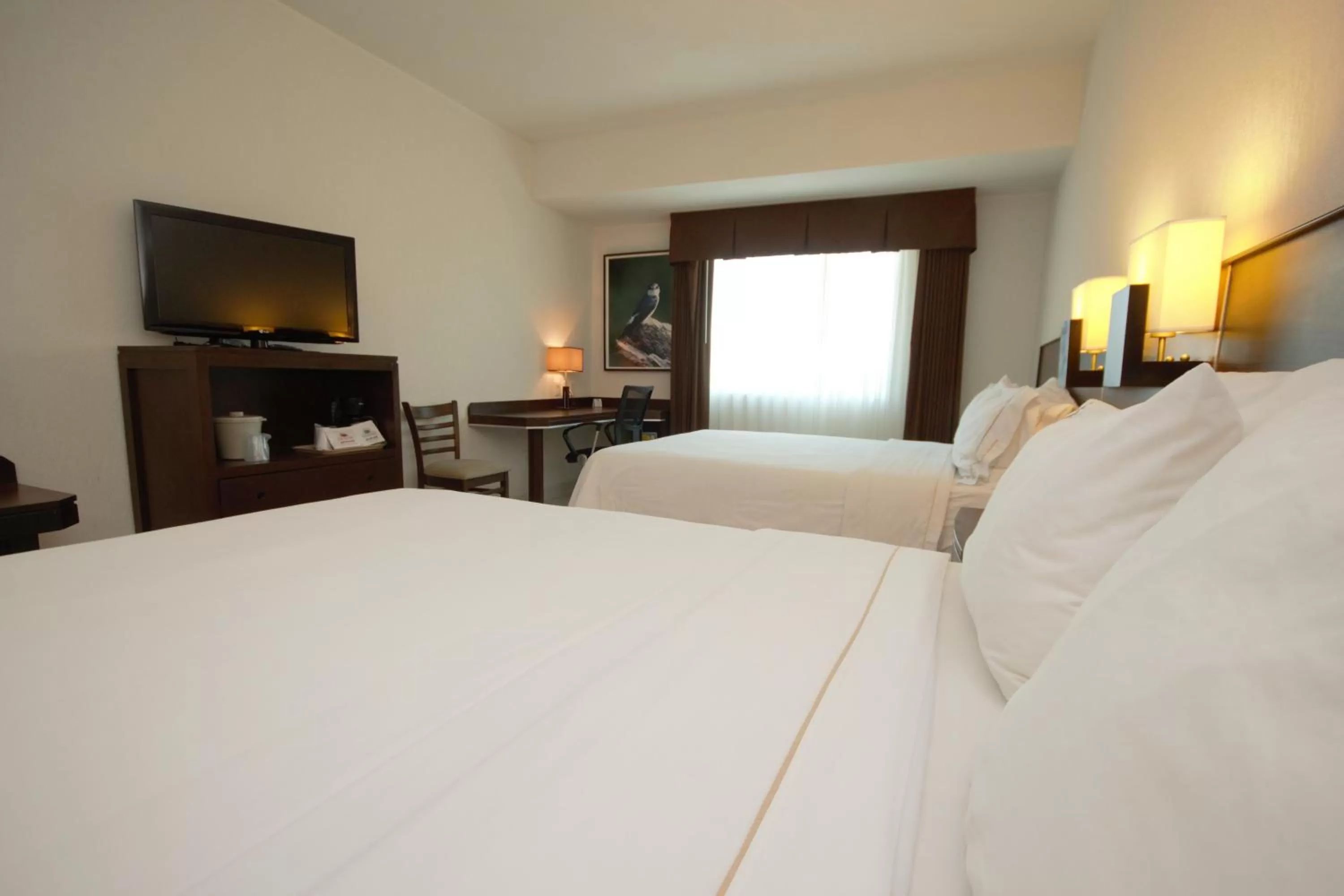 Photo of the whole room, Bed in Holiday Inn Express Tuxtla Gutierrez La Marimba by IHG