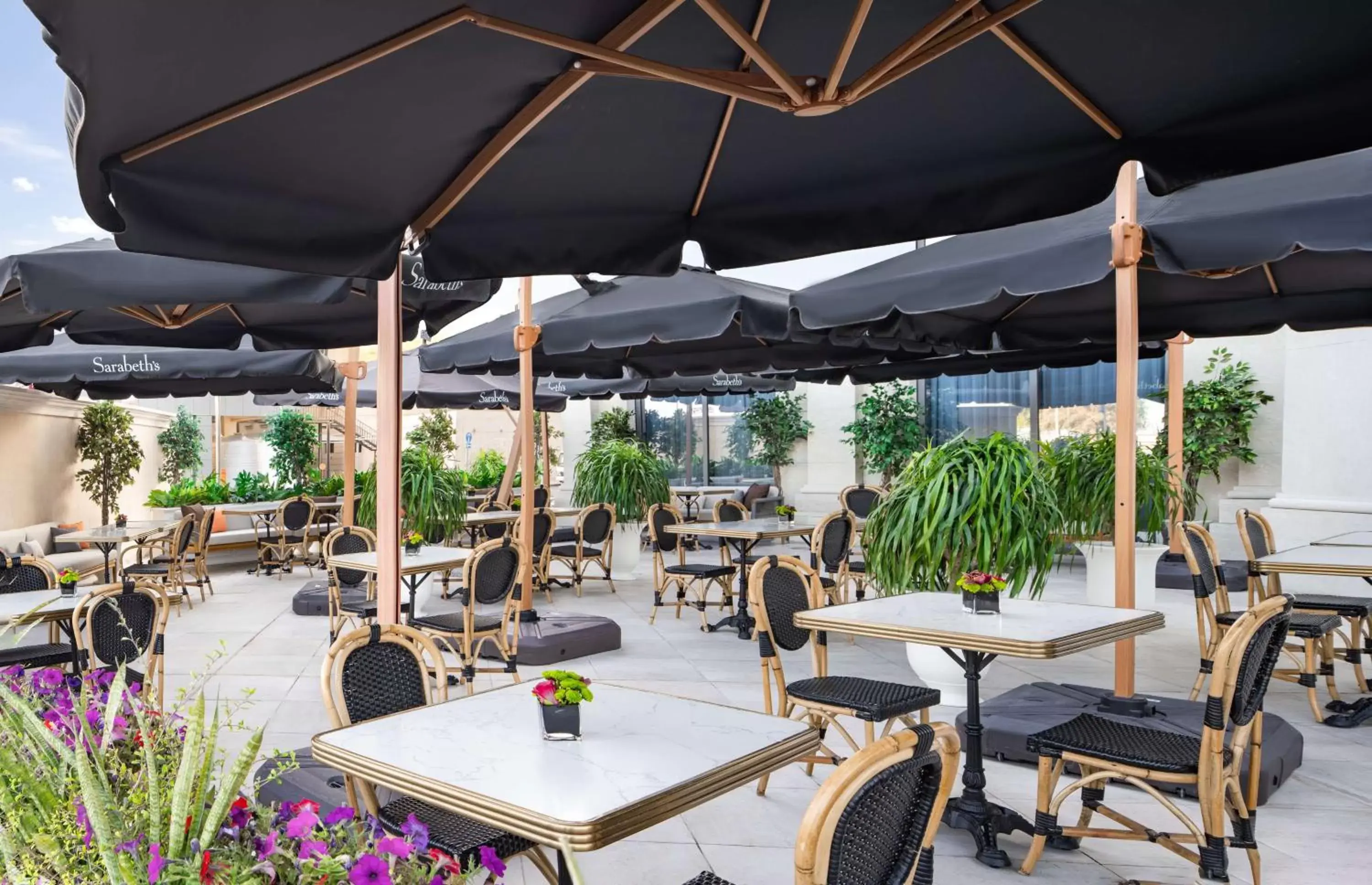 Restaurant/places to eat in The Plaza Doha, LXR Hotels & Resorts Restaurant/places to eat in The Plaza Doha, LXR Hotels & Resorts