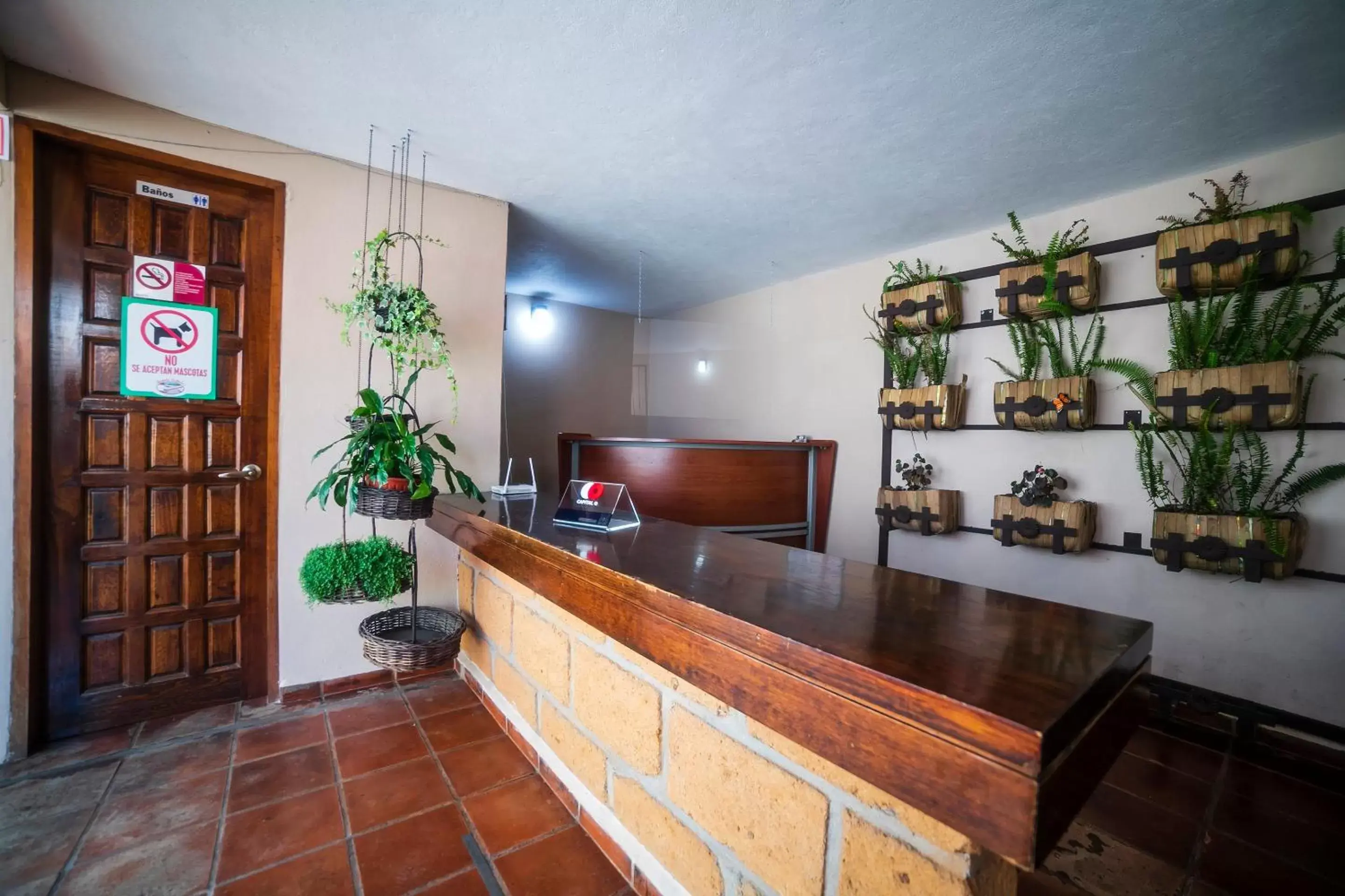 Lobby or reception, Lobby/Reception in Hotel Rincon Soñado, Valle de Bravo