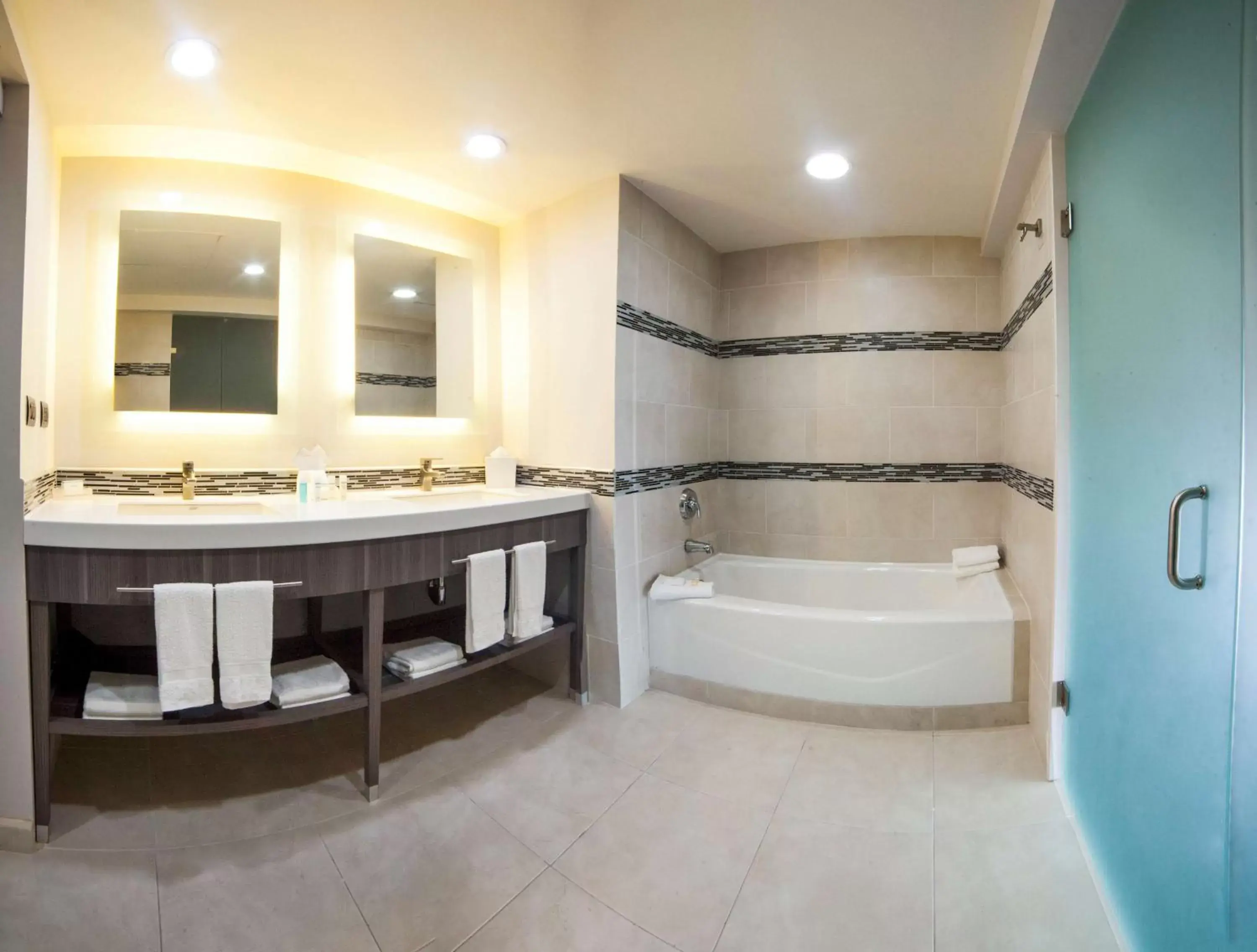 Bathroom in Hampton Inn & Suites by Hilton Aguascalientes Aeropuerto