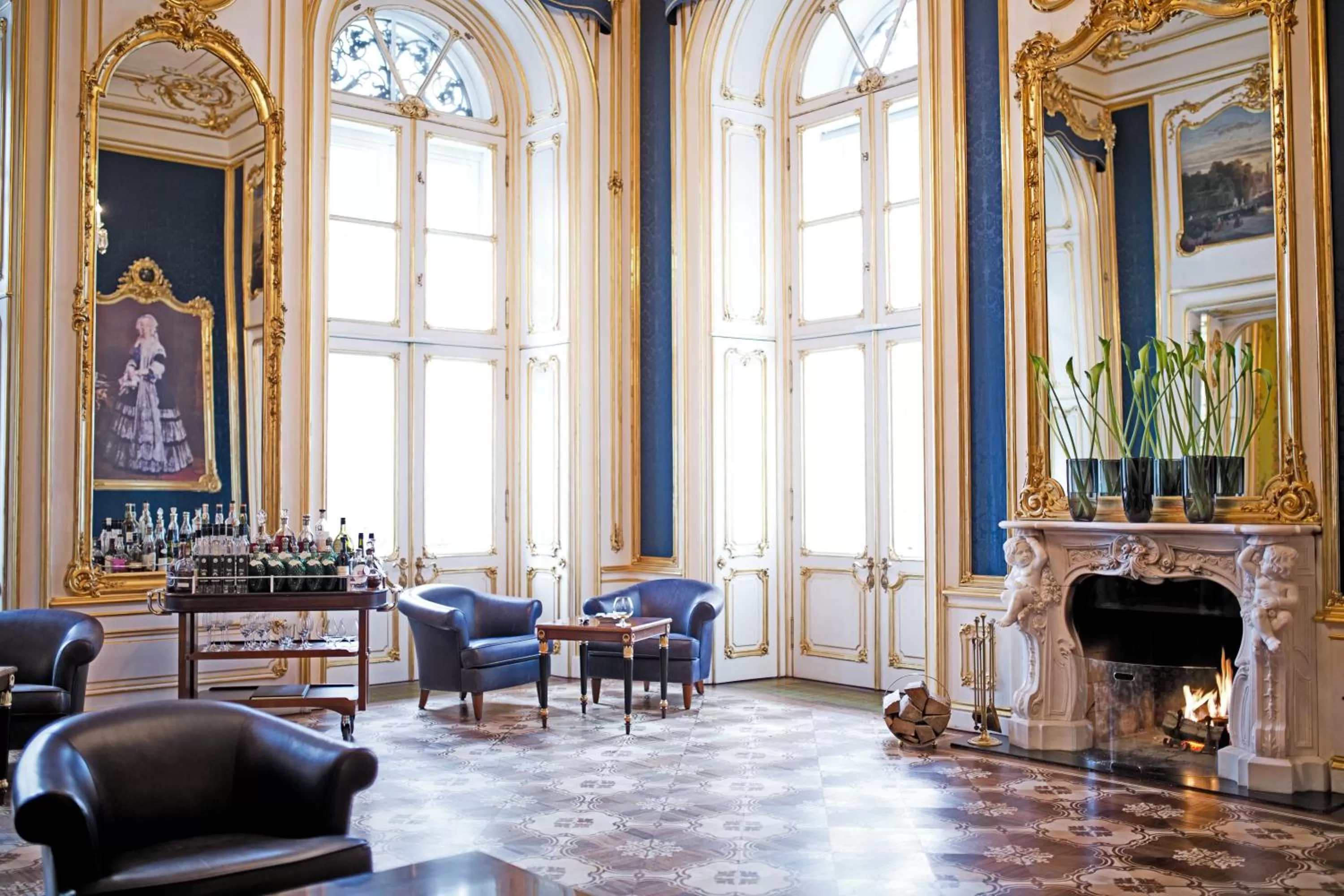 Banquet/Function facilities in Palais Coburg Hotel