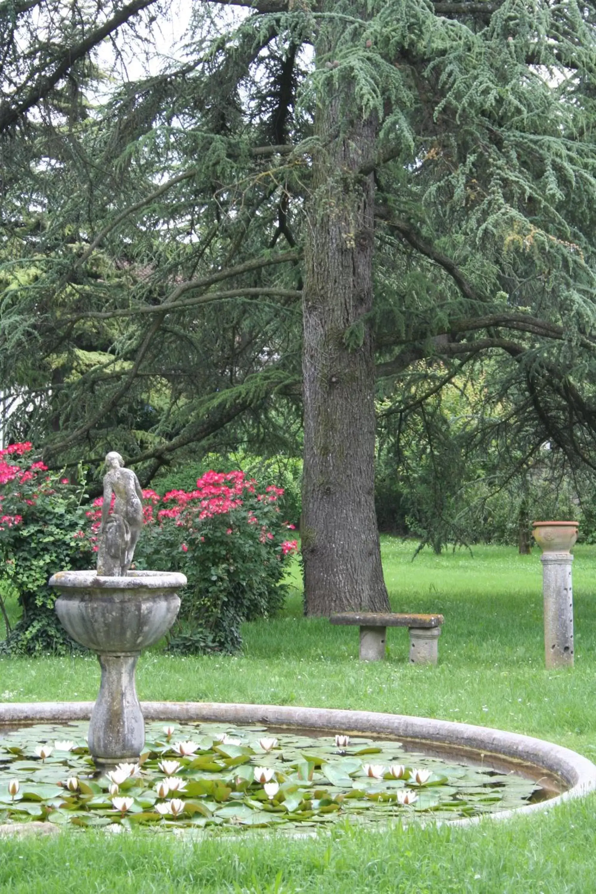 Garden view in B&B Villa al Parco