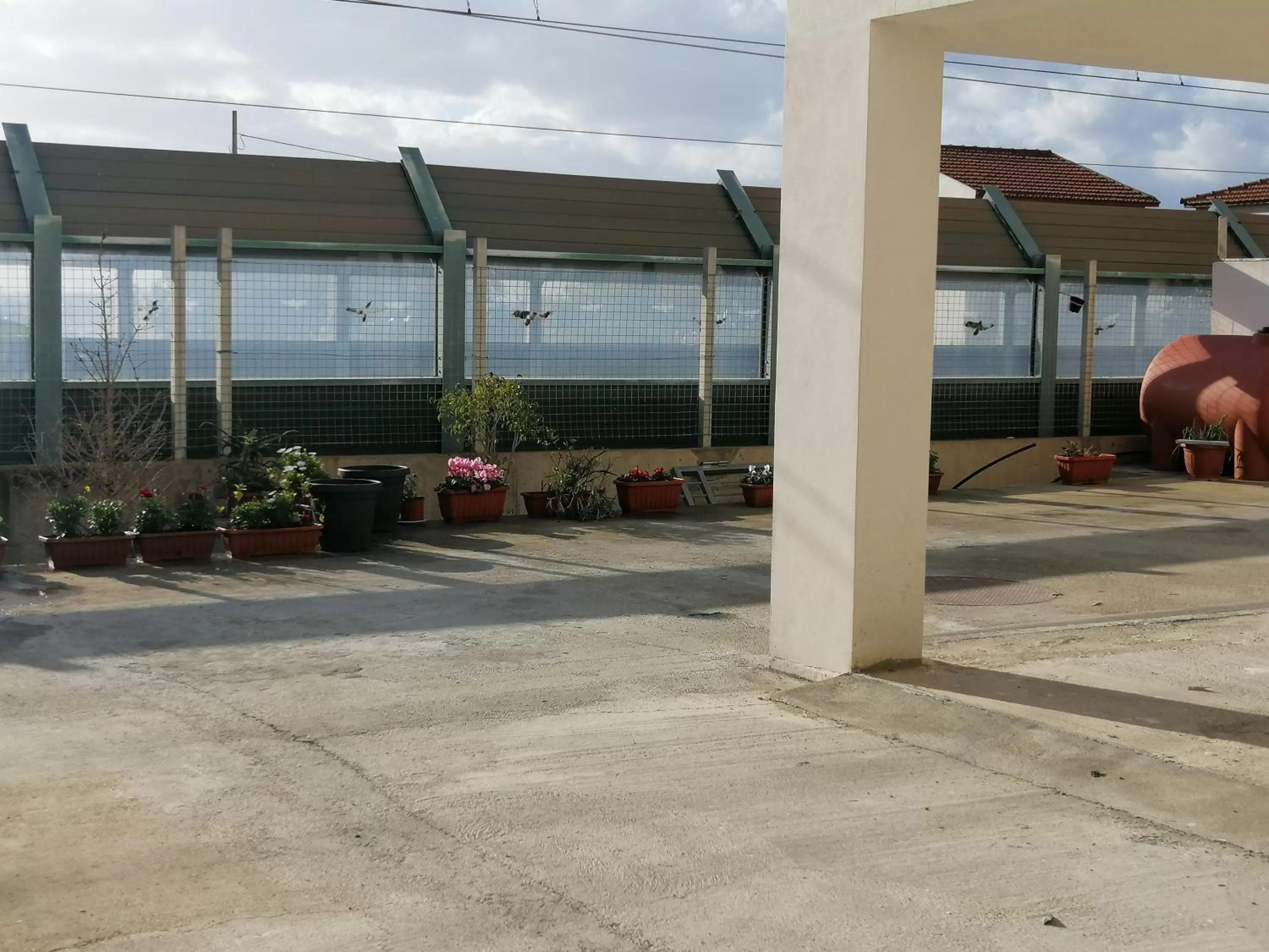 Facade/entrance in Il corallo azzurro