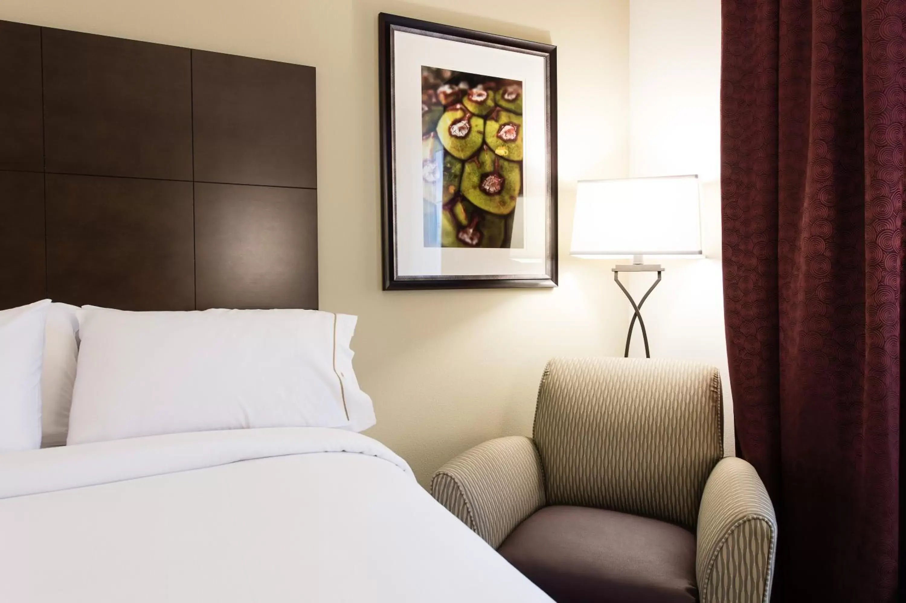 Seating area, Bed in Holiday Inn Express & Suites Aiken, an IHG Hotel