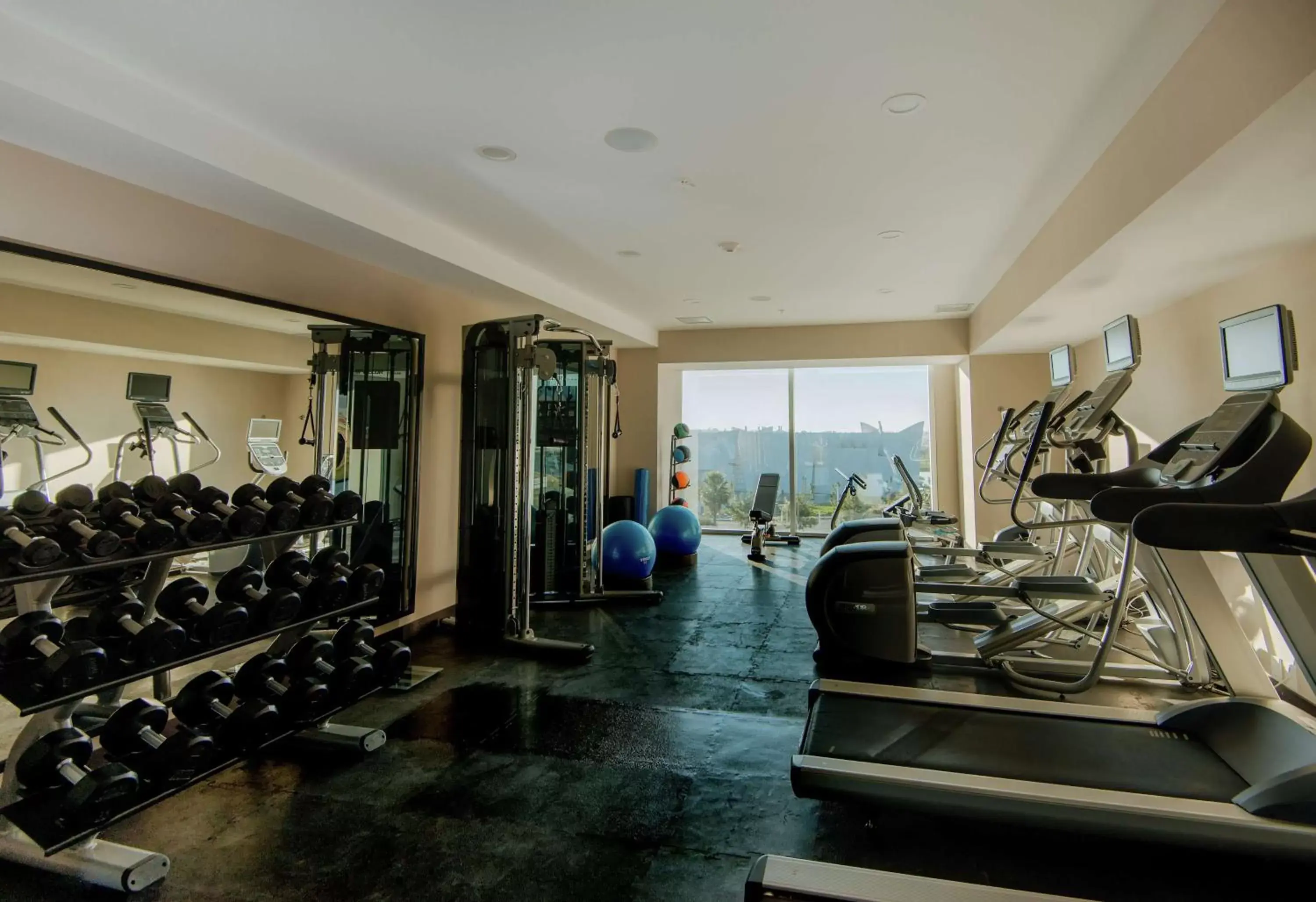 Fitness centre/facilities, Fitness Center/Facilities in Hilton Garden Inn Puebla Angelopolis