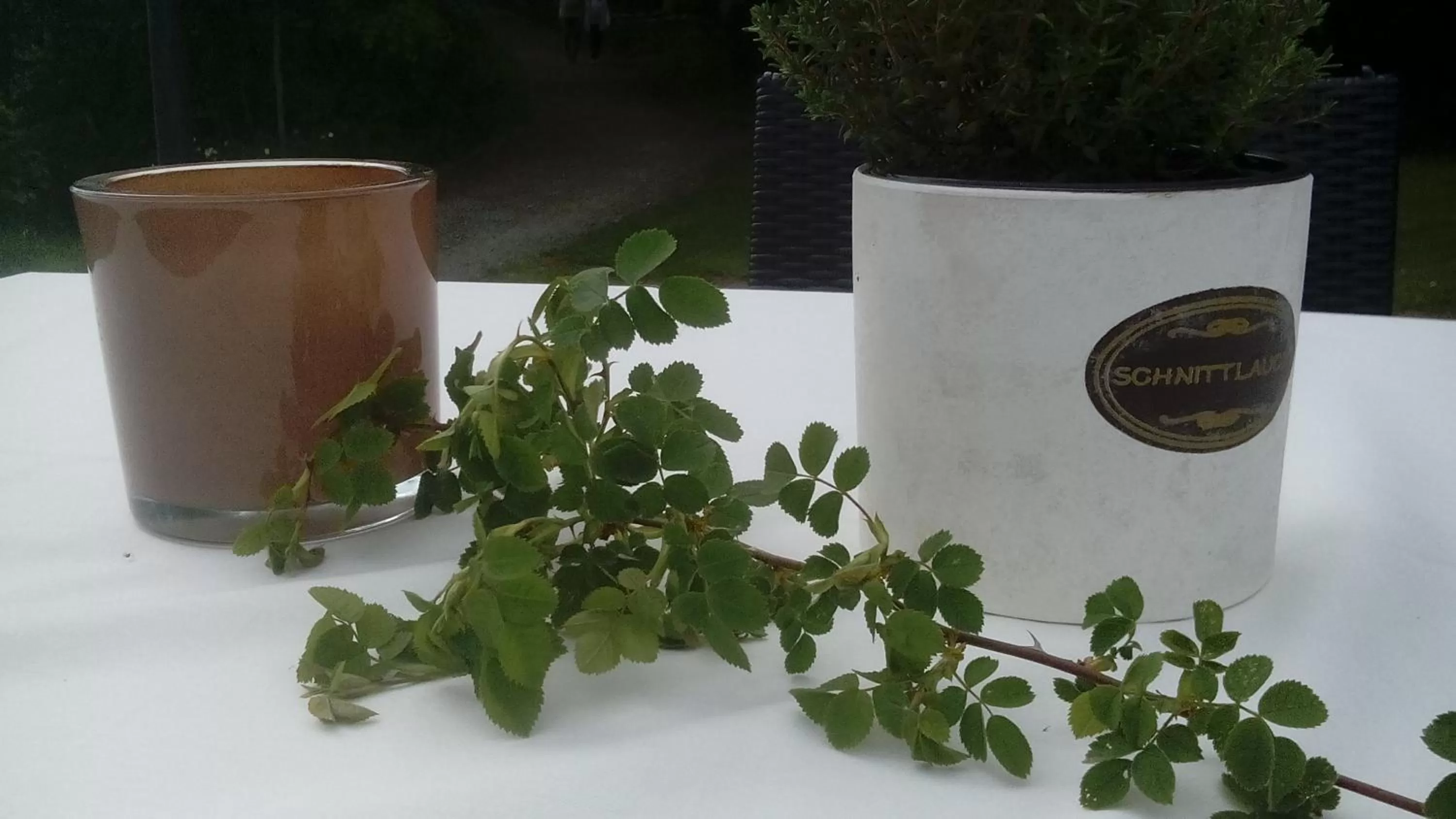 Other in Hotel am Untreusee