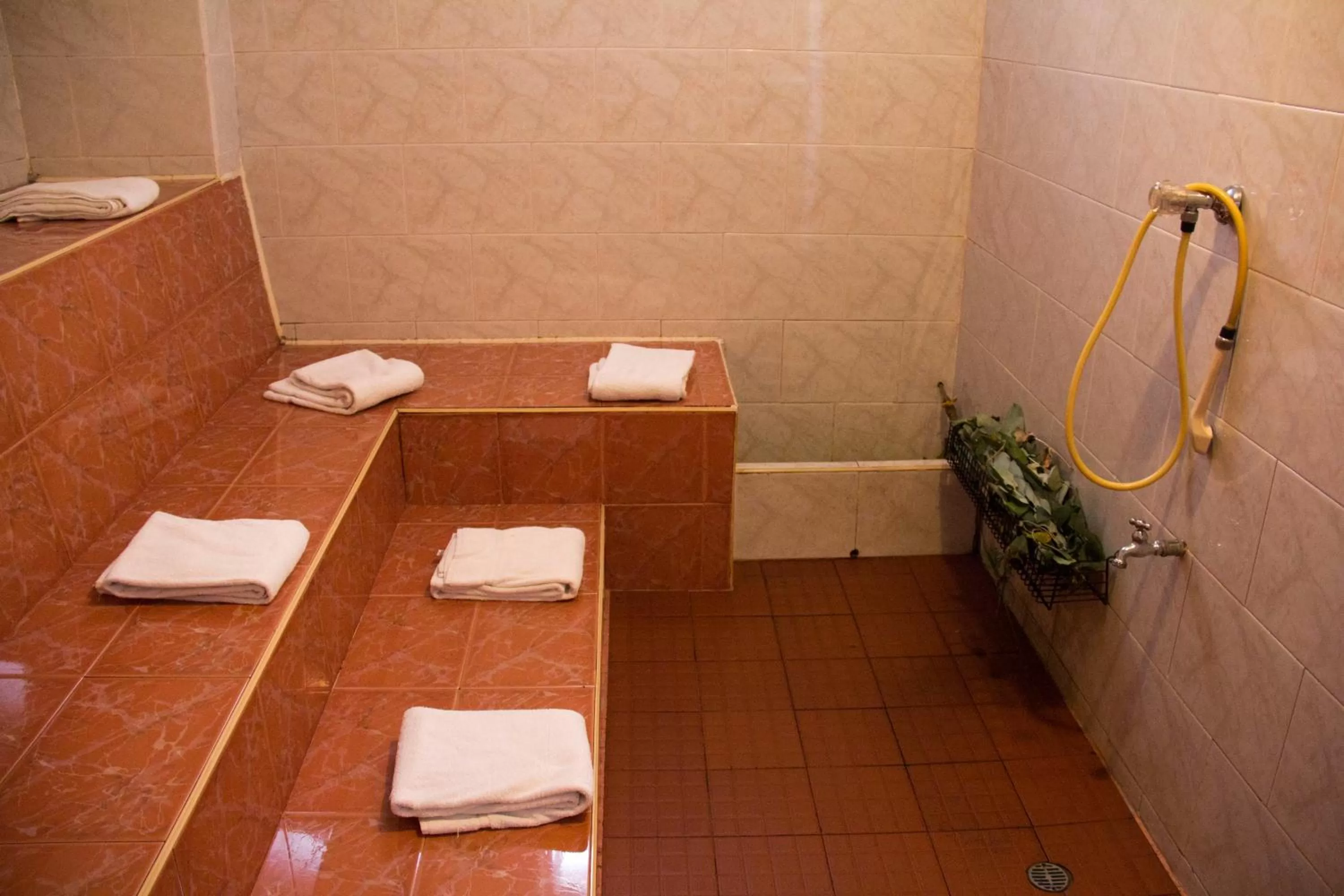 Steam room in Hotel Don Saul