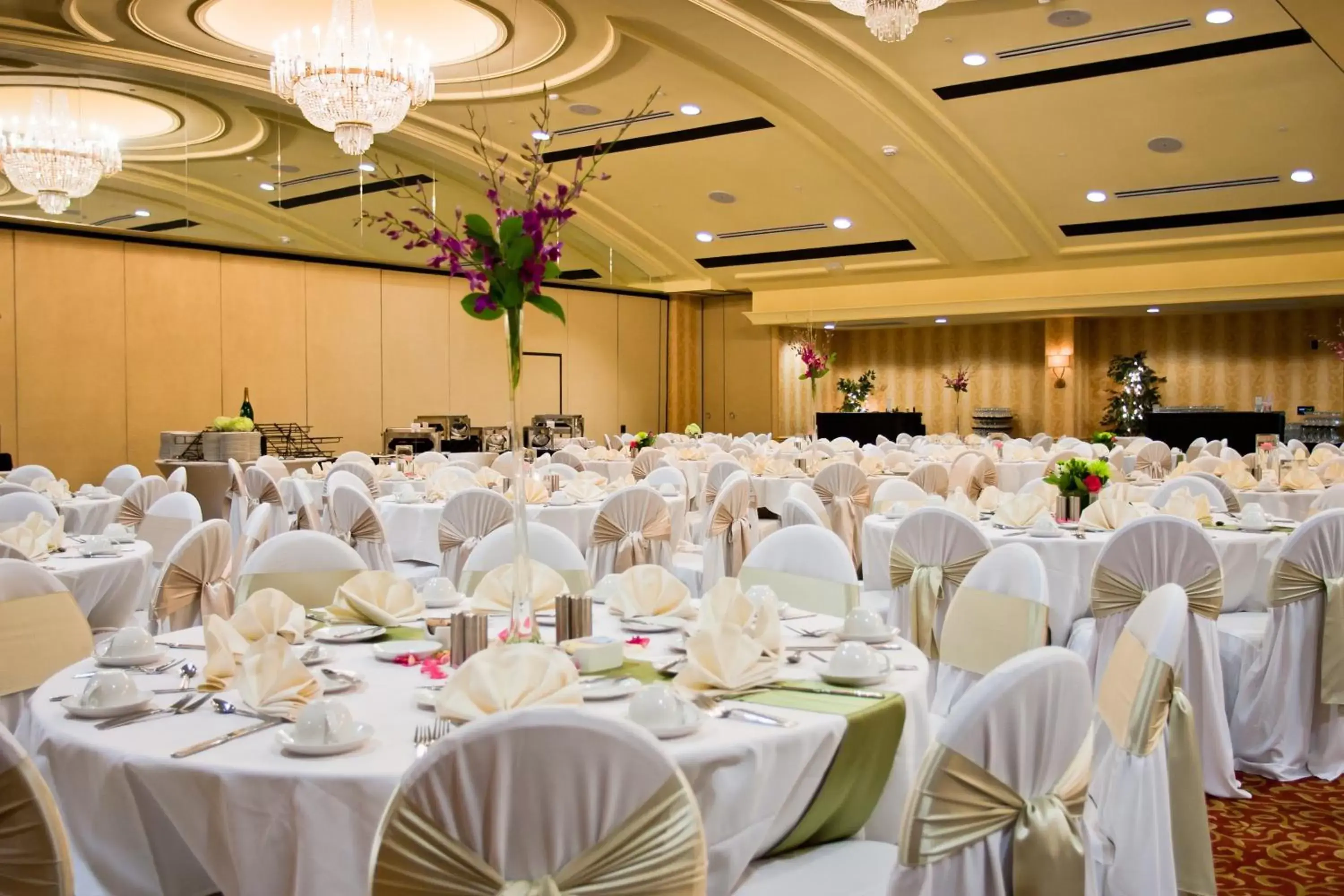 Banquet/Function facilities, Banquet Facilities in Crowne Plaza Louisville Airport Expo Center, an IHG Hotel