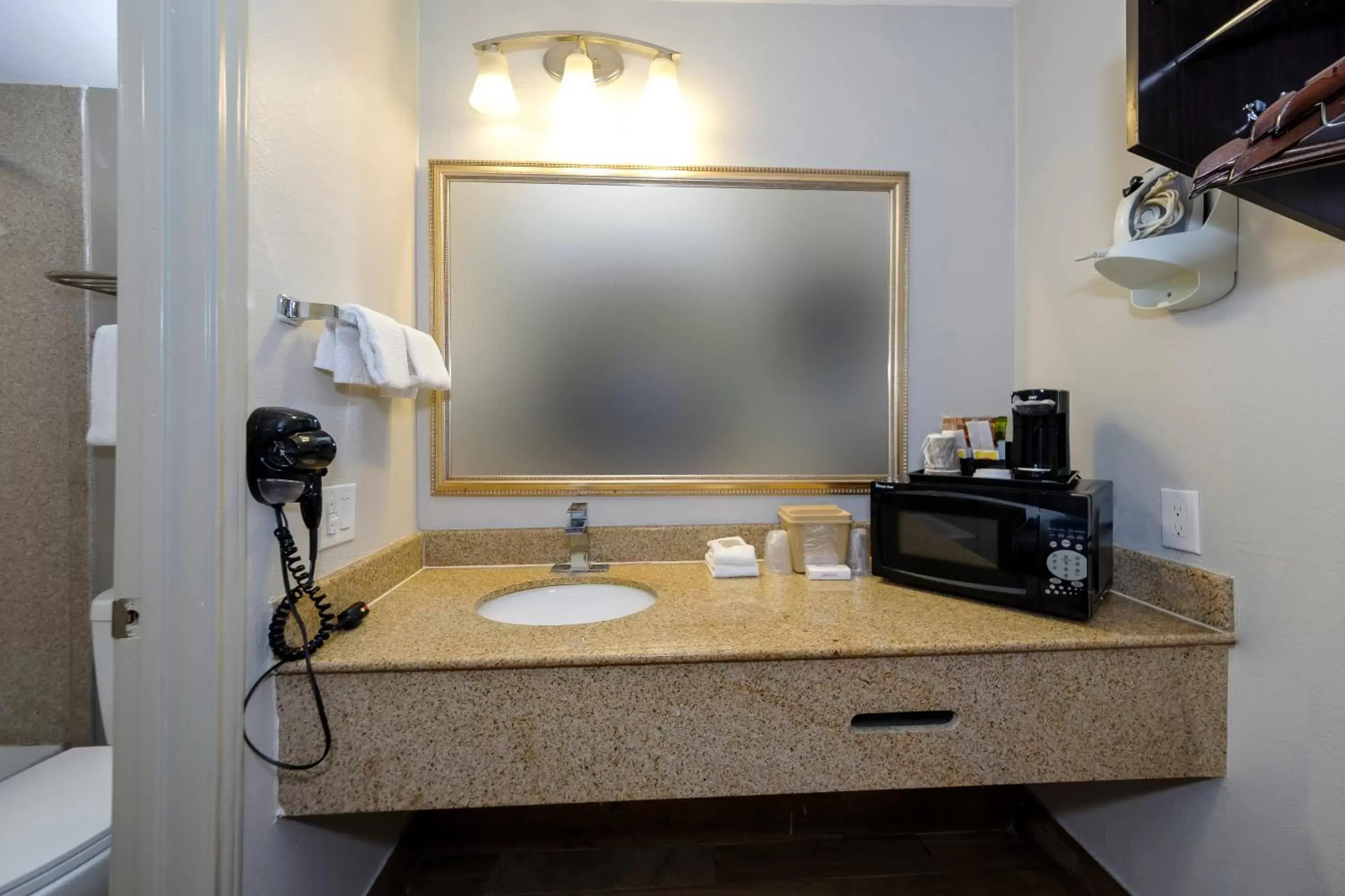 Bathroom, Coffee/Tea Facilities in Red Roof Inn Arlington - Entertainment District