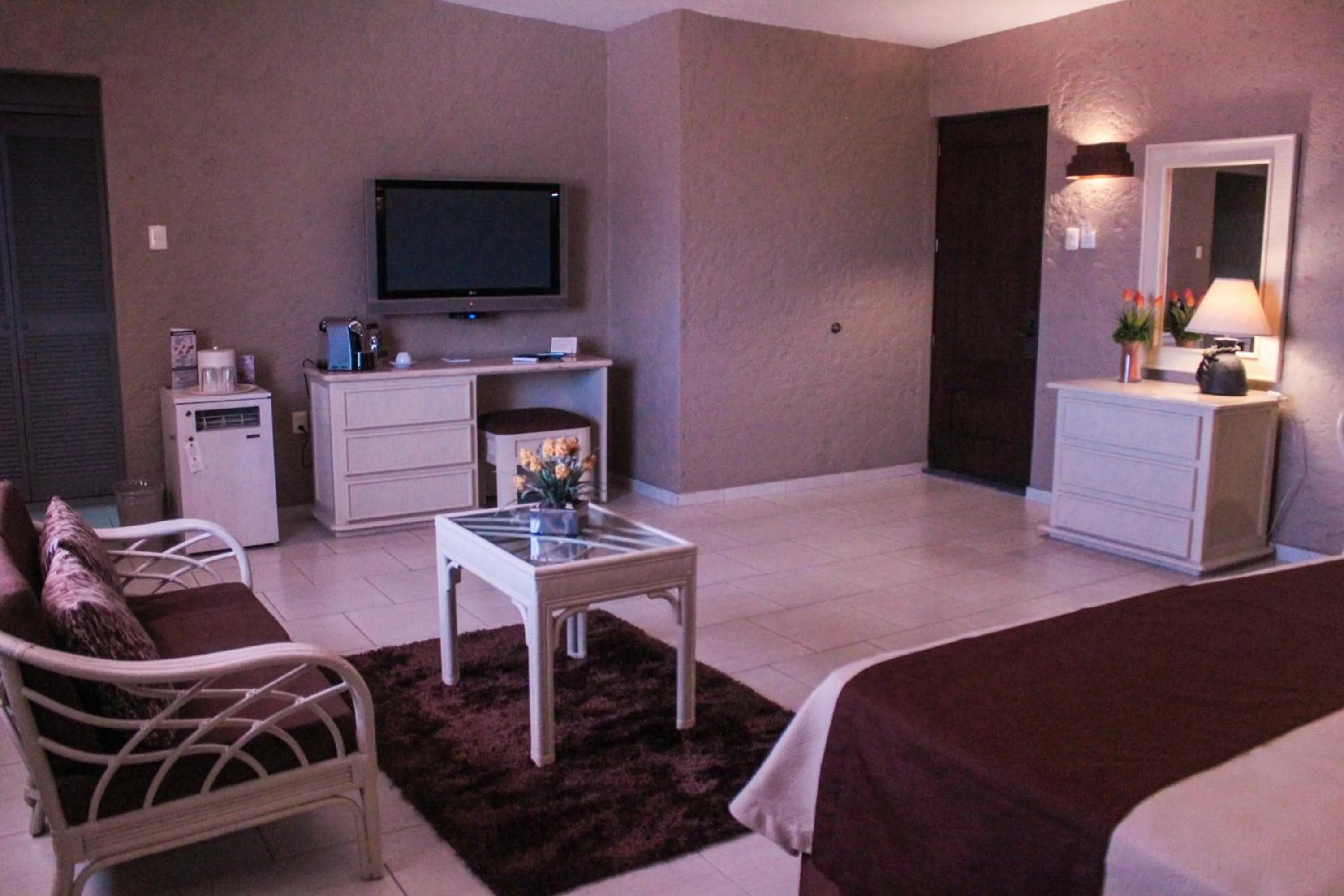 Hotel Layfer del Centro, Córdoba, Ver