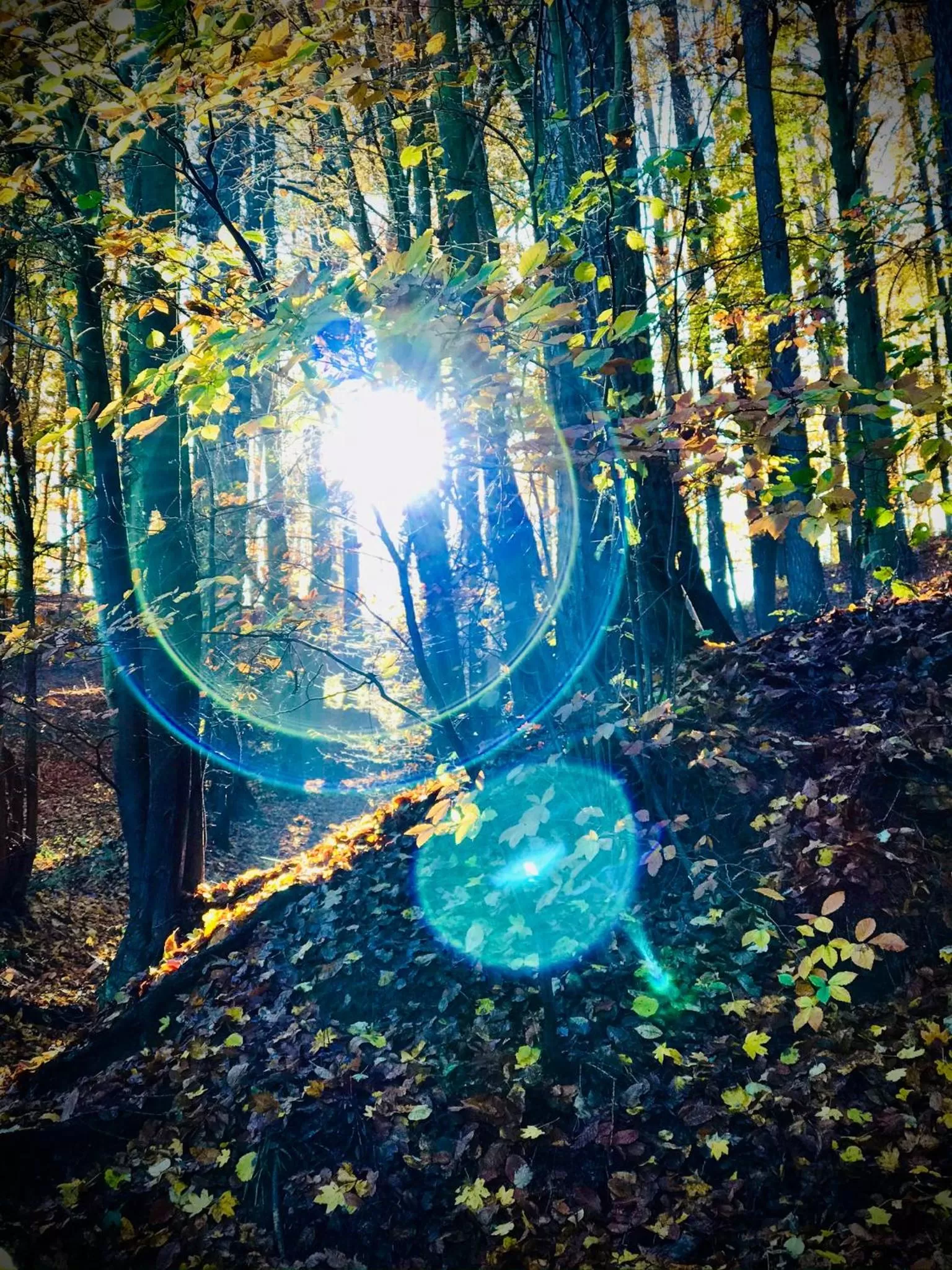 HARABURDI® Recyclart Hotel