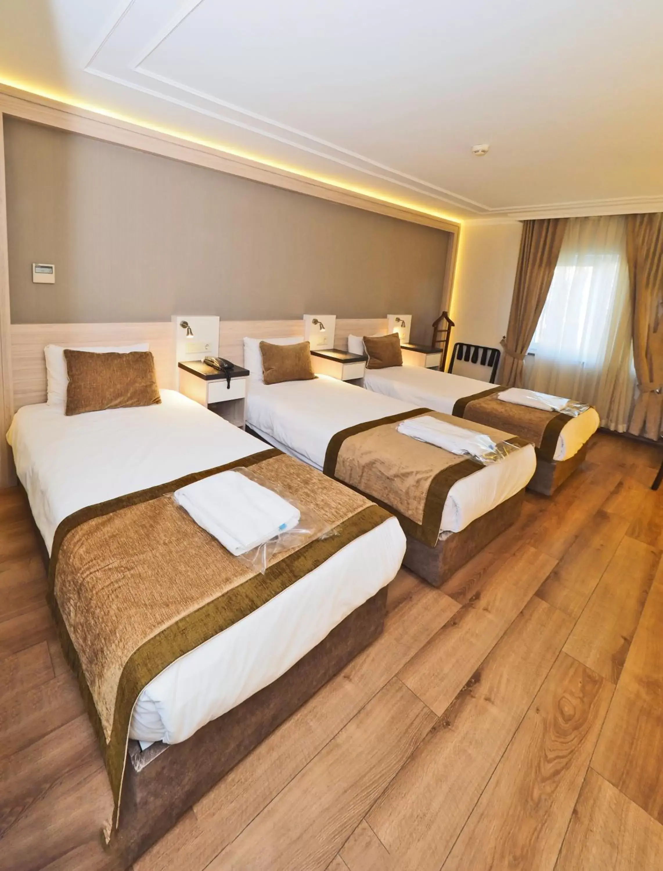 Triple Room in Hotel Bulvar Palas
