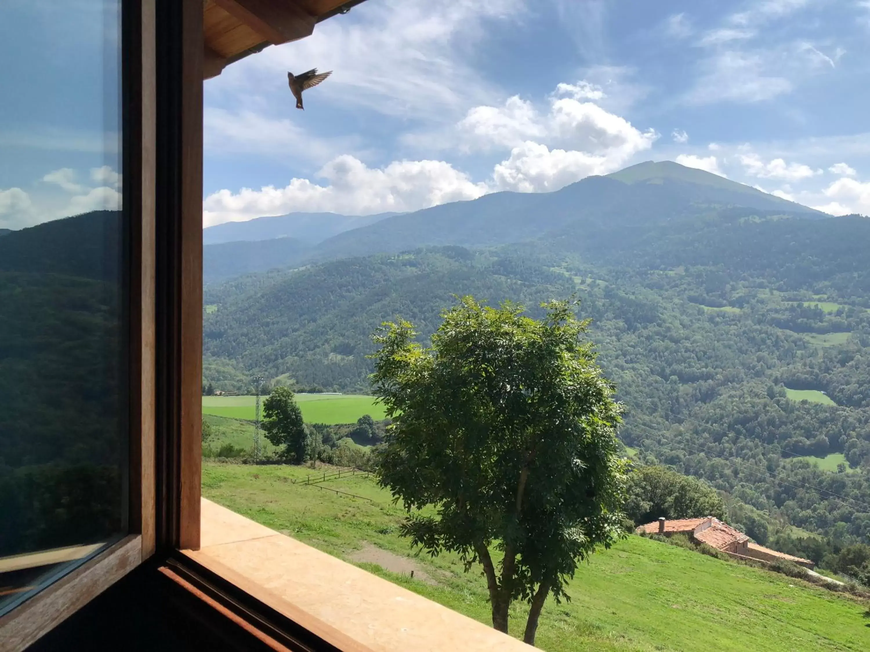 Garden view, Mountain View in Serrat del Vent - Adults only