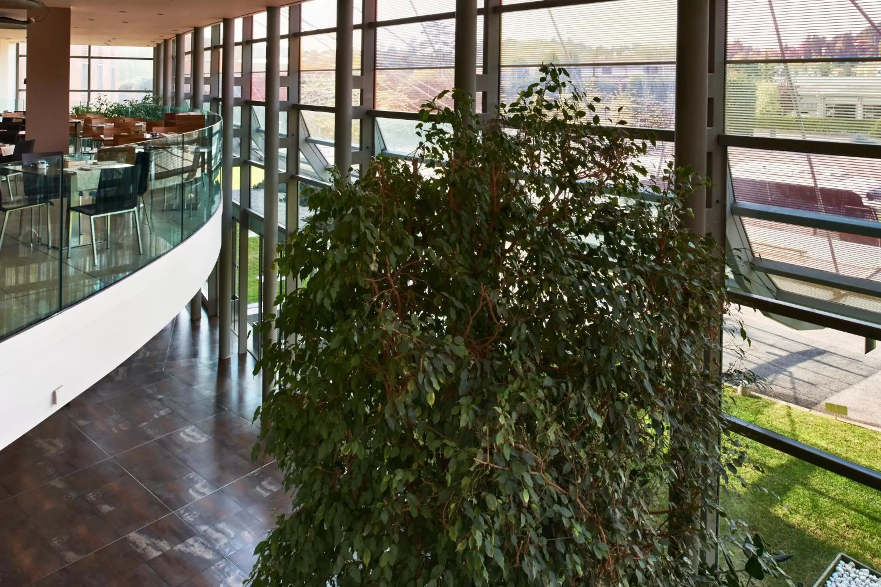Lobby or reception, Balcony/Terrace in Hotel Cruise