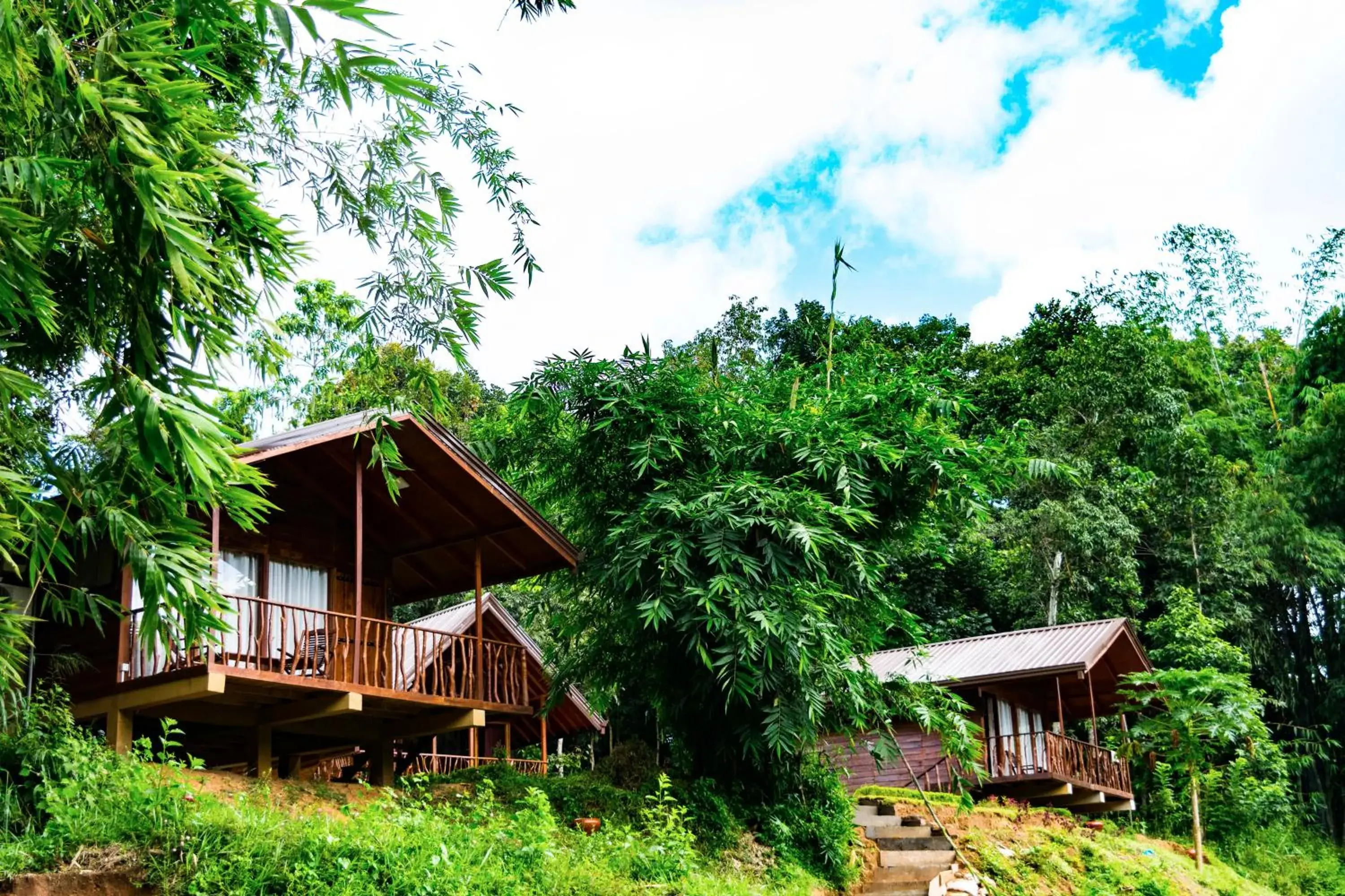Natural landscape, Property Building in Kandy Cabana