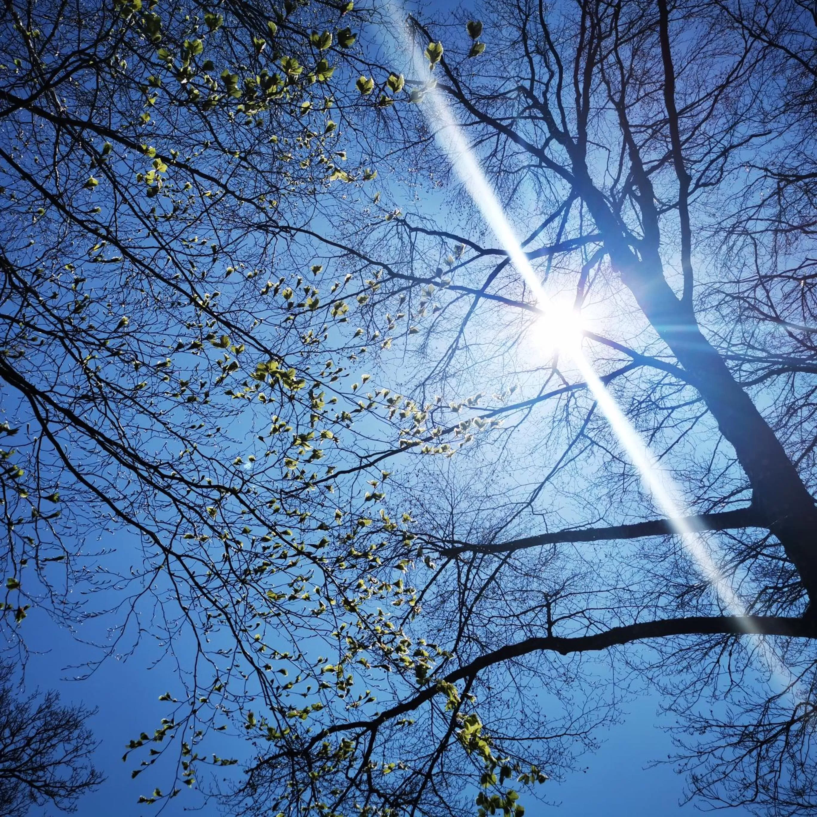 Day, Winter in Haus Hubertus