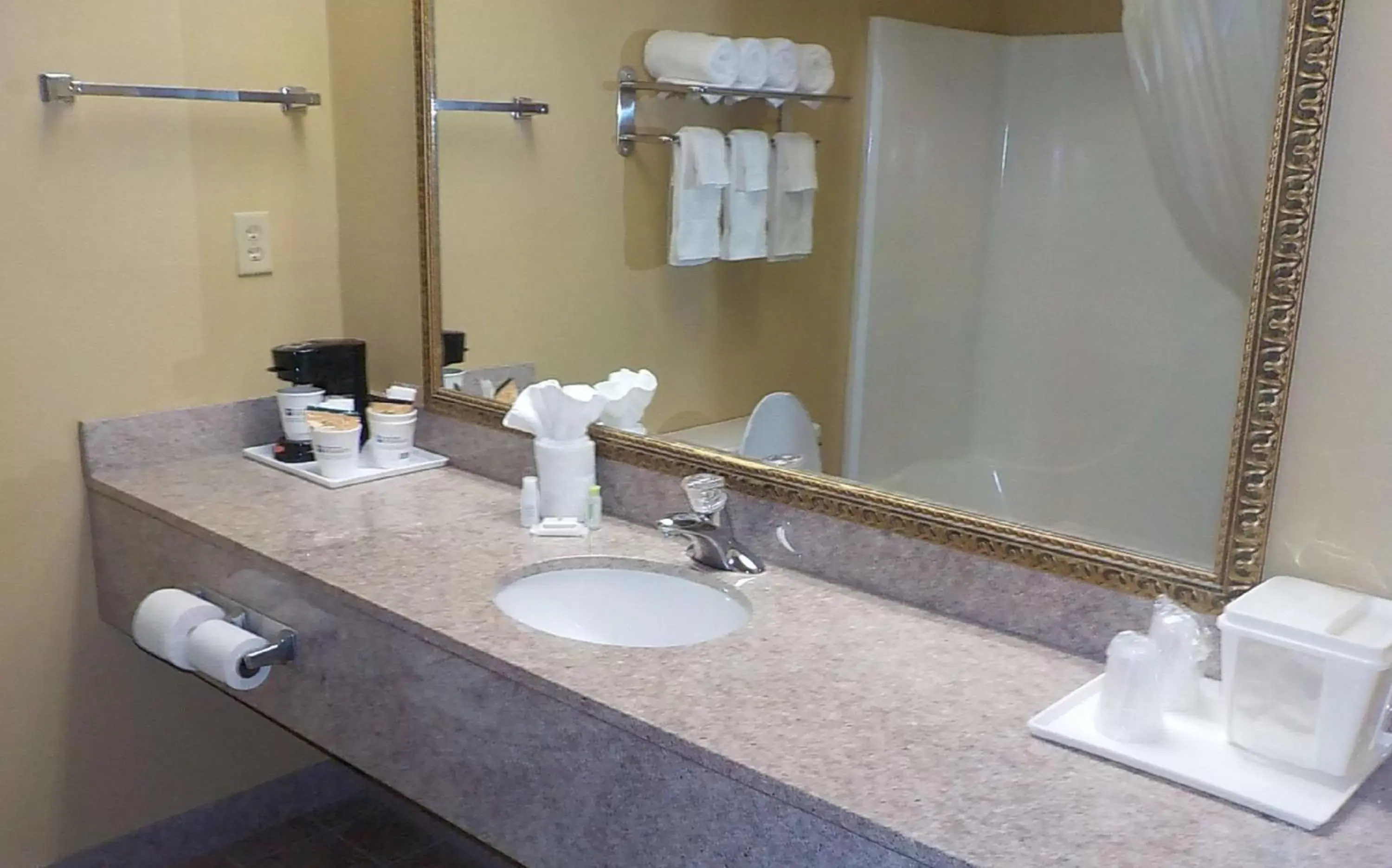 Bathroom in SureStay Plus Hotel by Best Western Warner Robins AFB