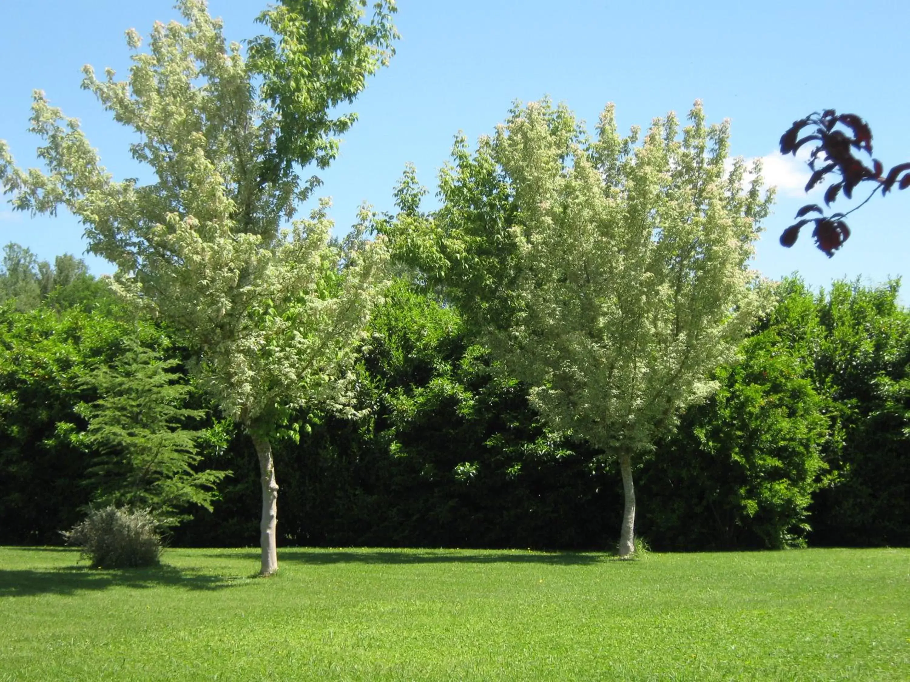 Garden in B & B OASI