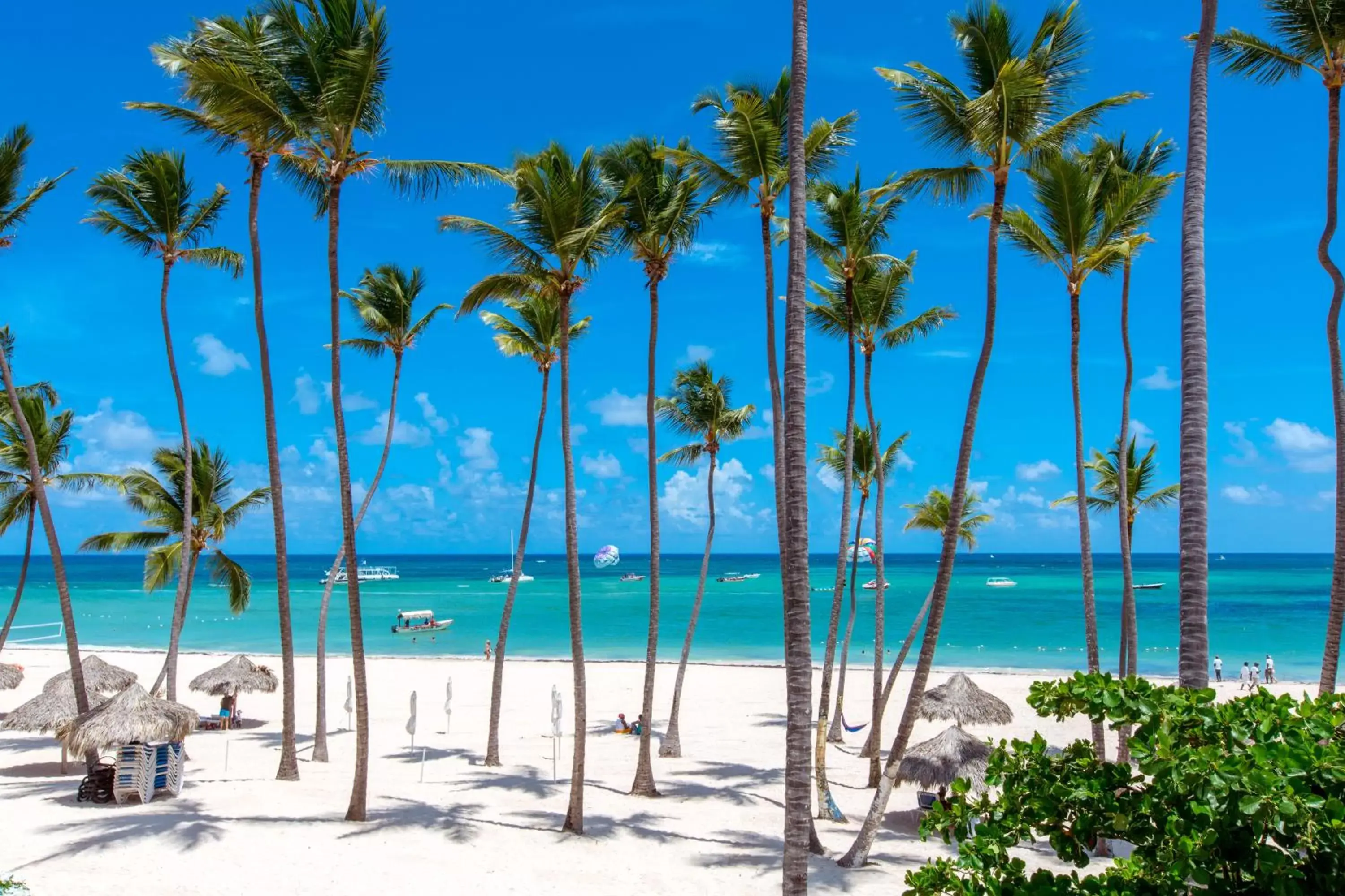 Beach in TROPICANA SUITES DELUXE BEACH CLUB and POOL - playa LOS CORALES