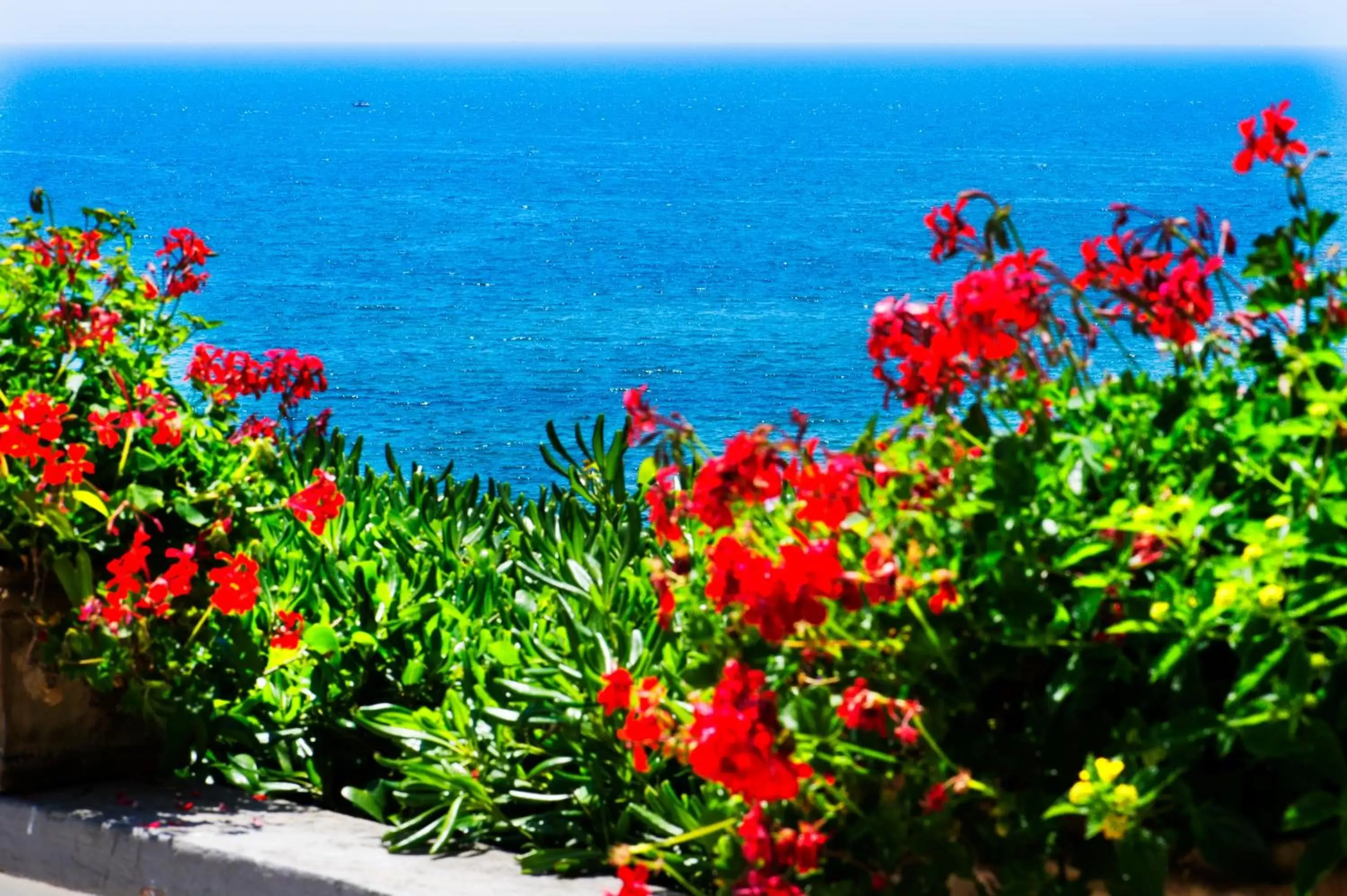 Sea view in Grande Albergo Miramare