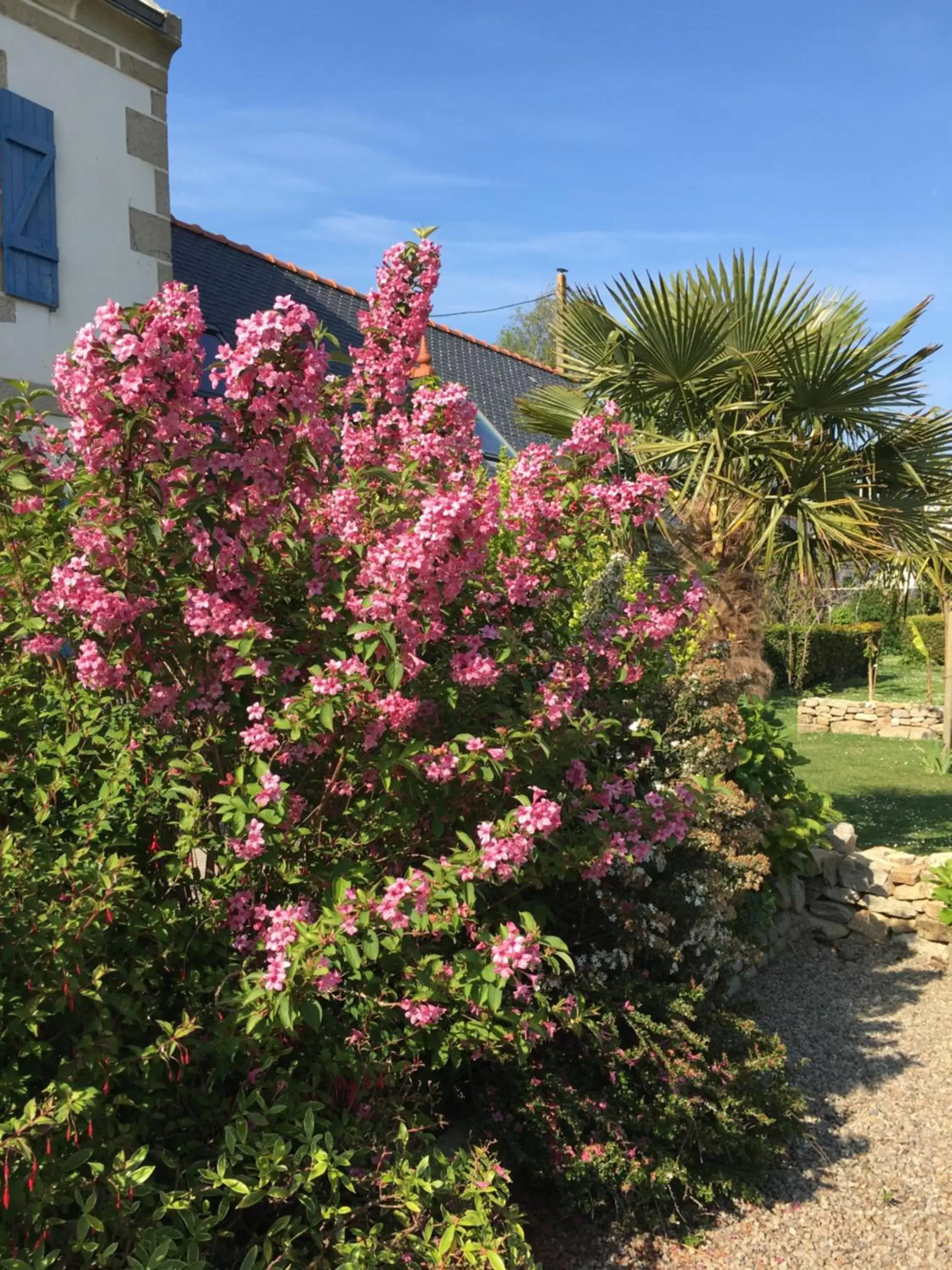 Garden in La Ferme de Kérivoas