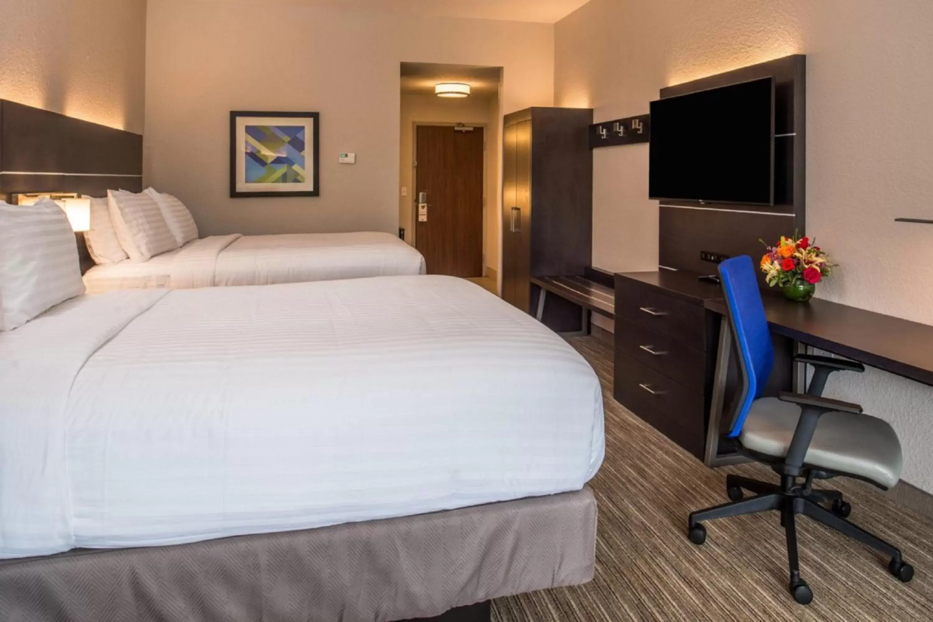 Photo of the whole room, Bed in Holiday Inn Express & Suites - Tampa North - Wesley Chapel, an IHG Hotel