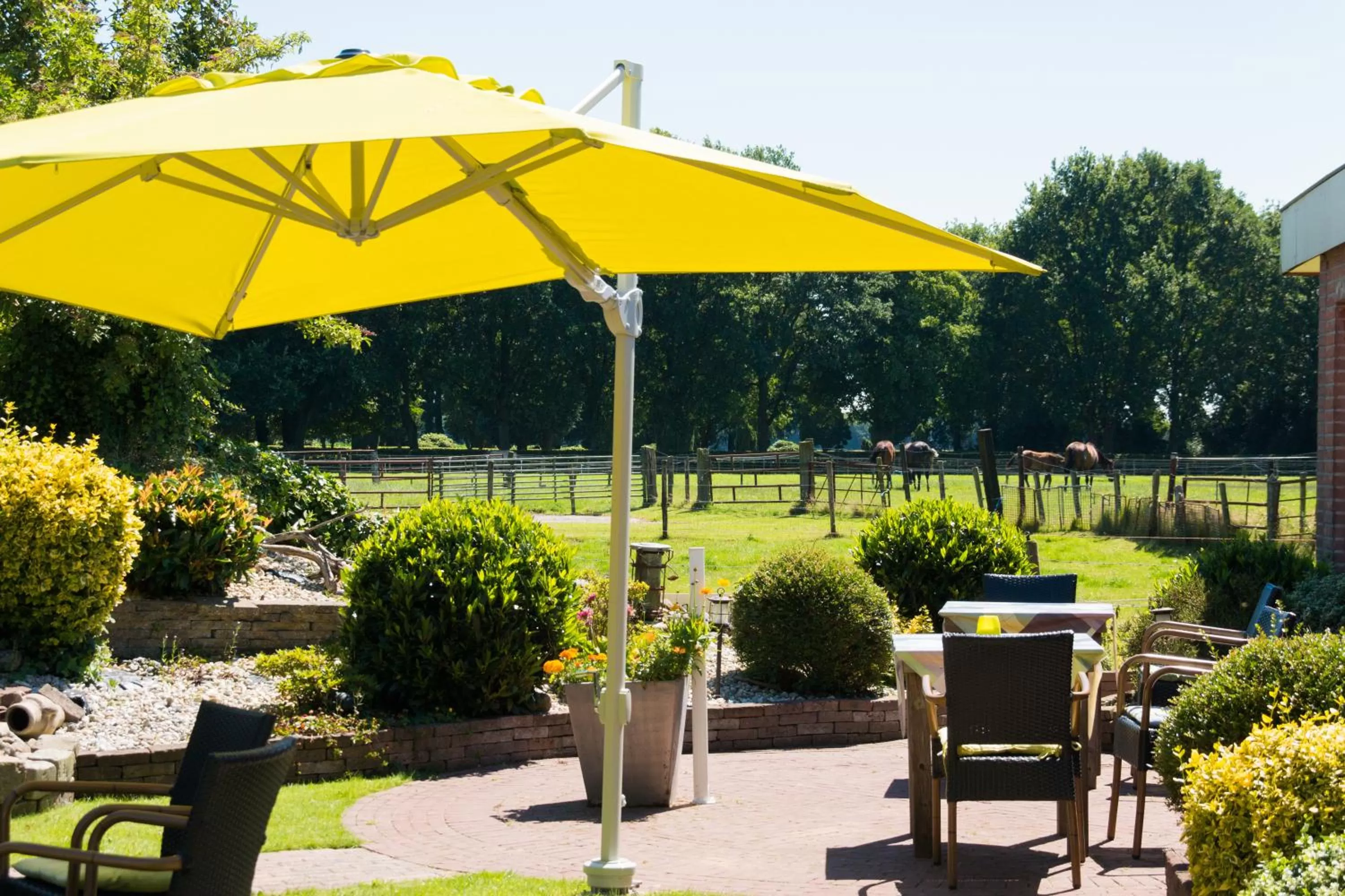 Balcony/Terrace in B&B de Ster van Dwingeloo