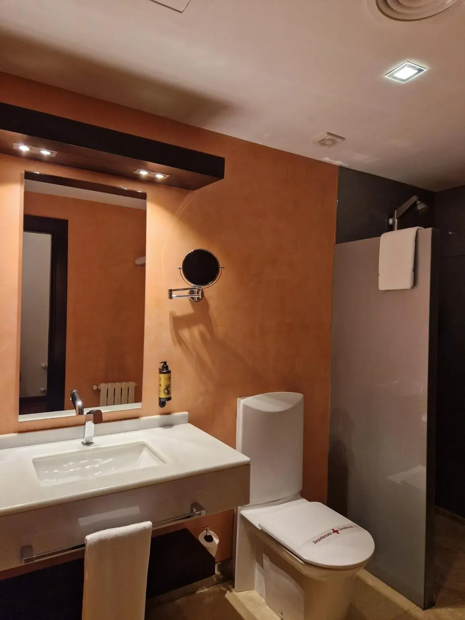 Toilet, Bathroom in Hotel America Vigo