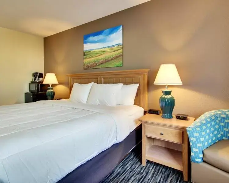 Bed in EverSpring Inn & Suites