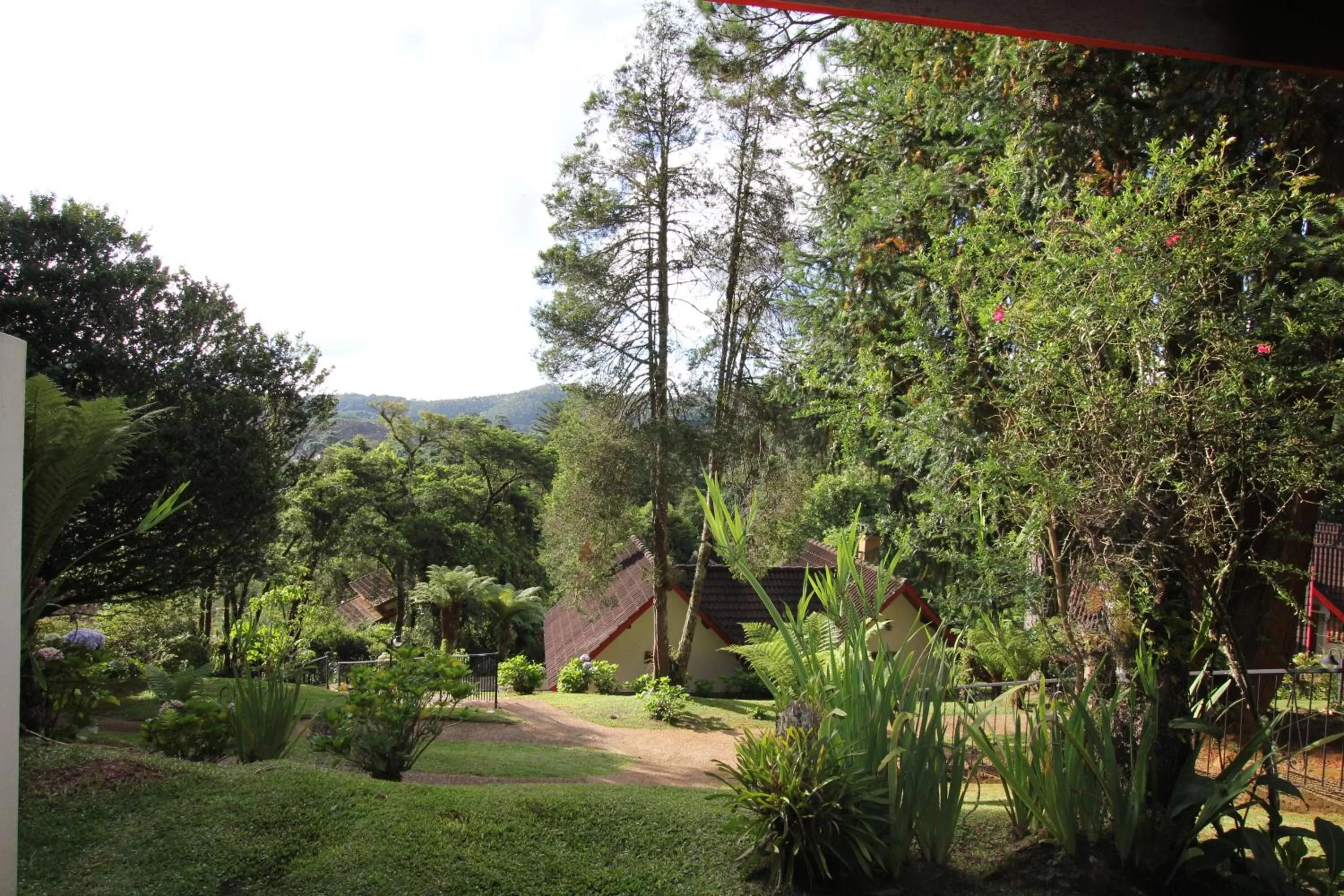 Natural landscape in Pousada Aguia da Montanha