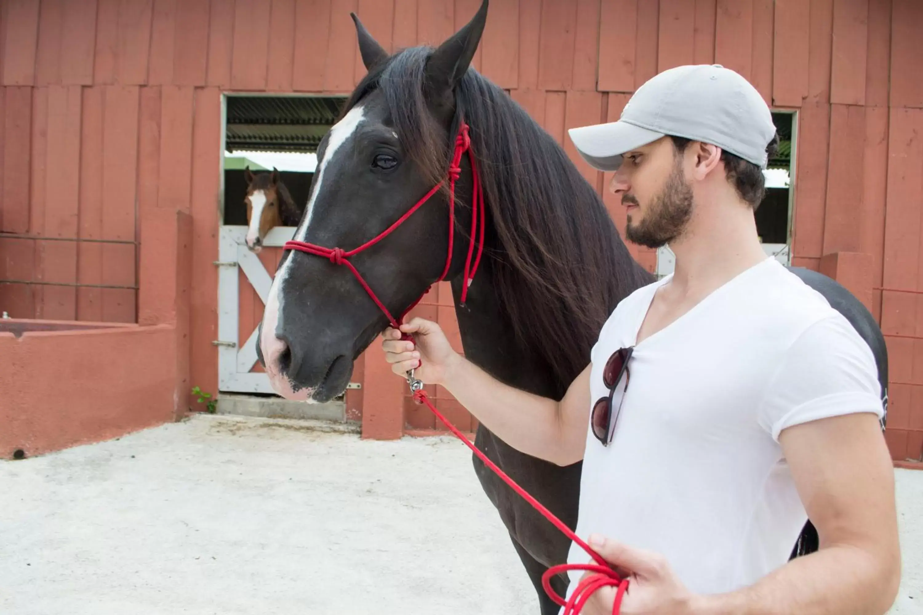 Horse-riding, Other Animals in Montaña de Fuego All Inclusive