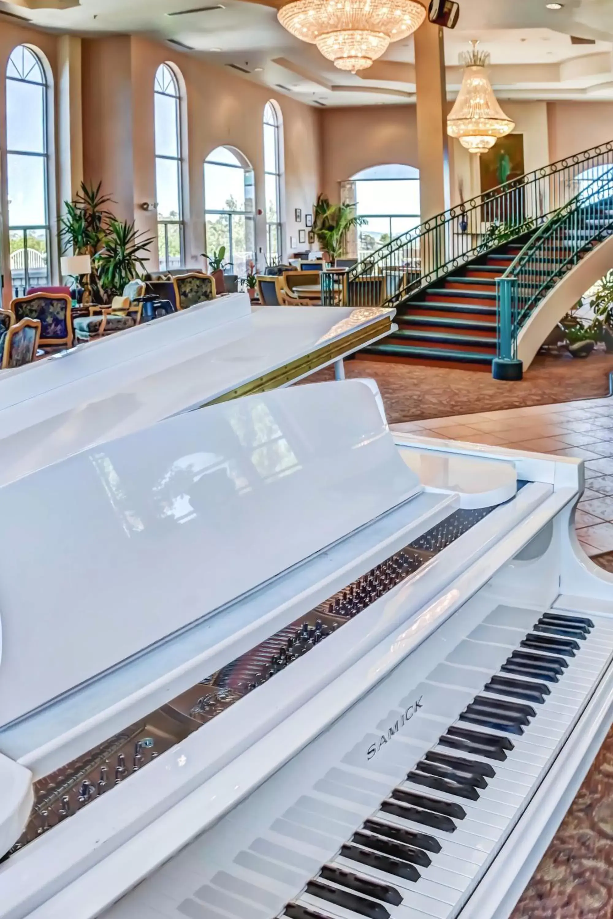 Lobby or reception in Forest Villas Hotel