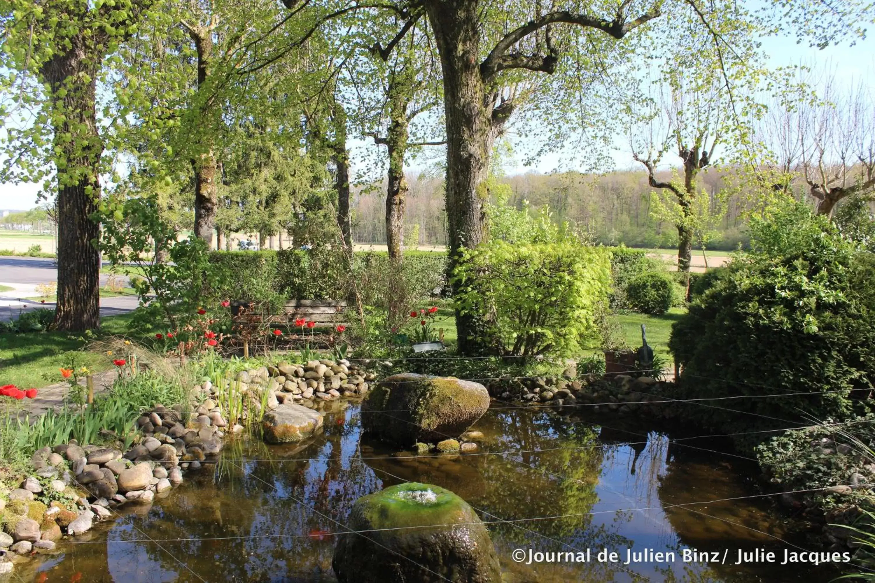 Garden, Natural Landscape in Auberge Sundgovienne