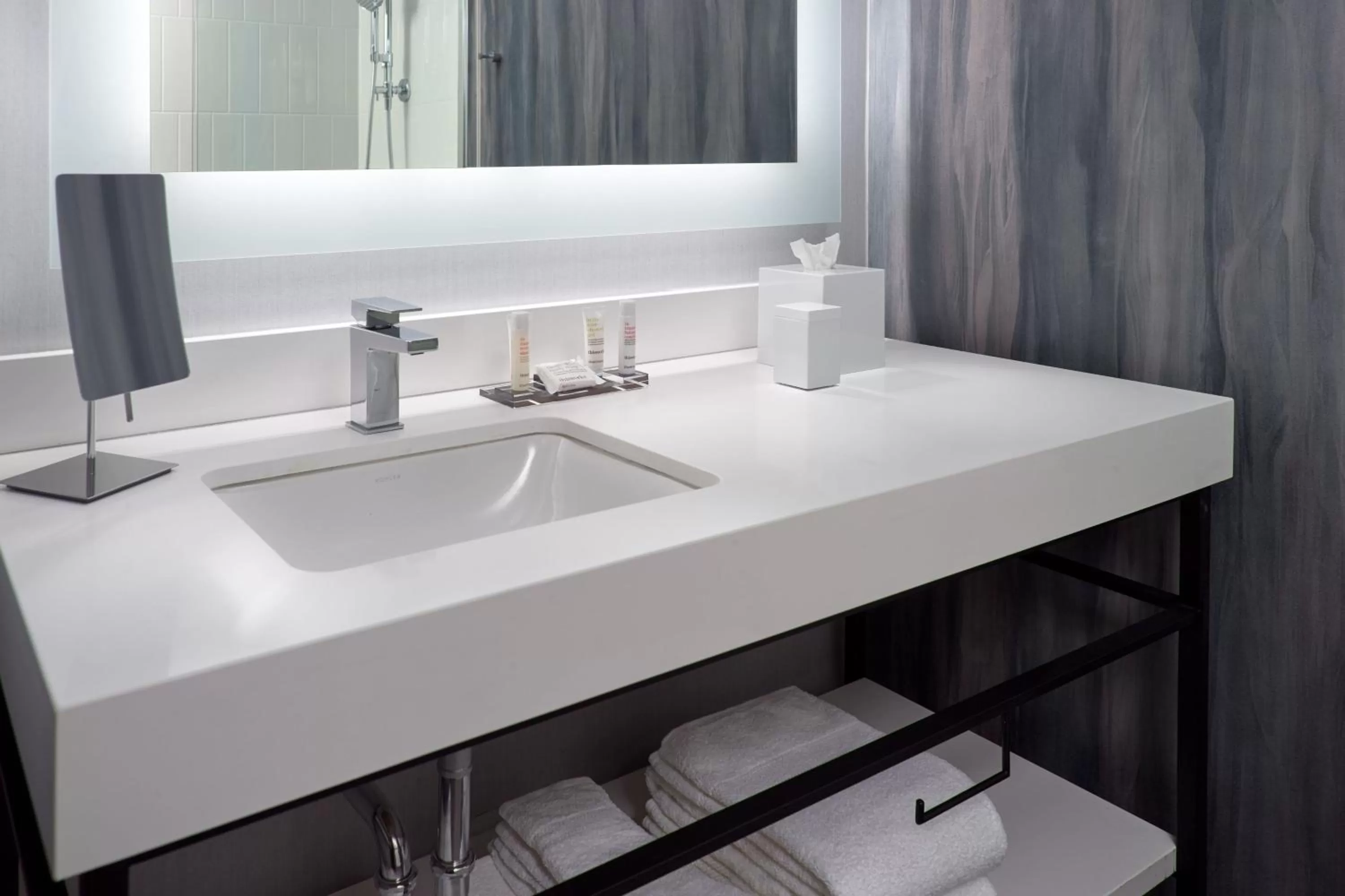 Bathroom in Marriott Knoxville Downtown