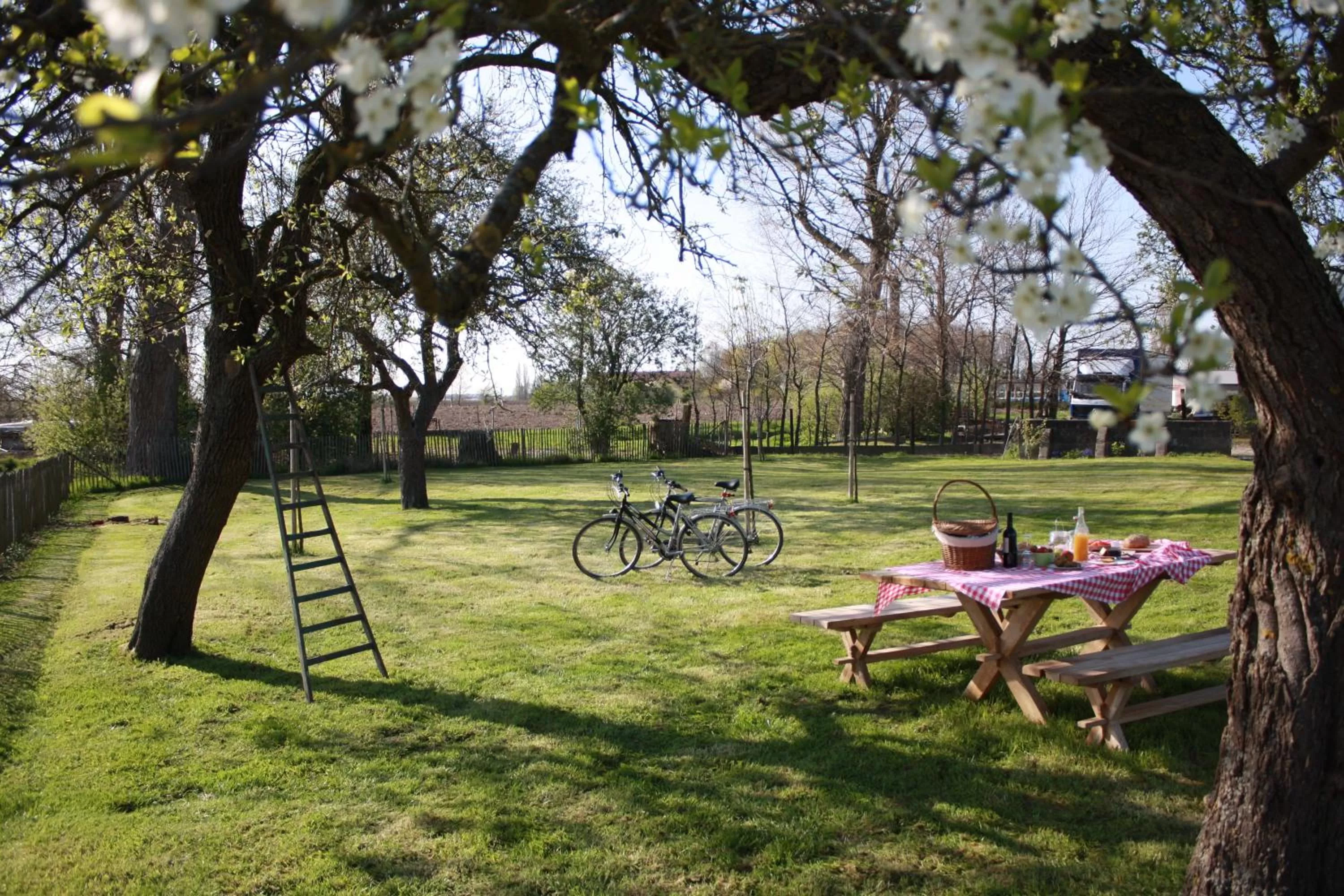Facade/entrance in Buytenshuys